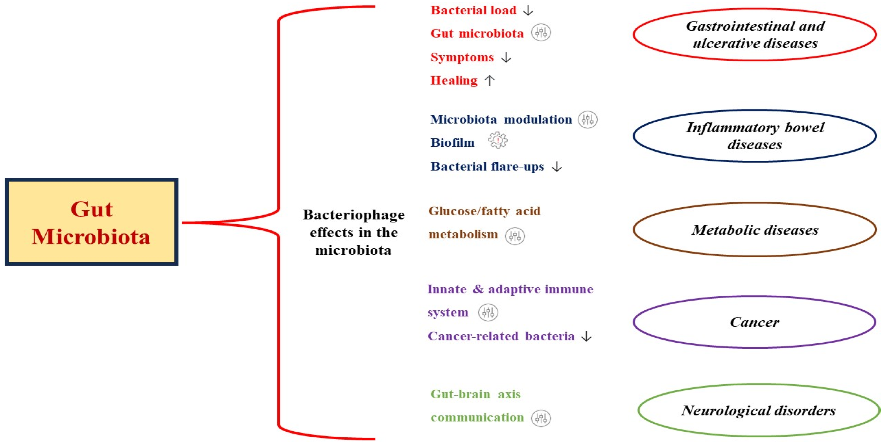 Pharmaceutics 15 02416 g003