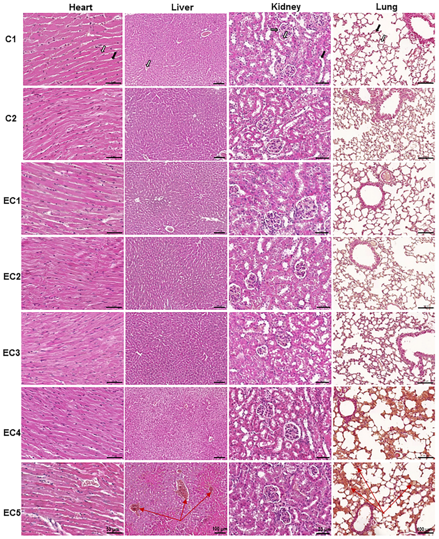 Pharmaceutics 15 02417 g002