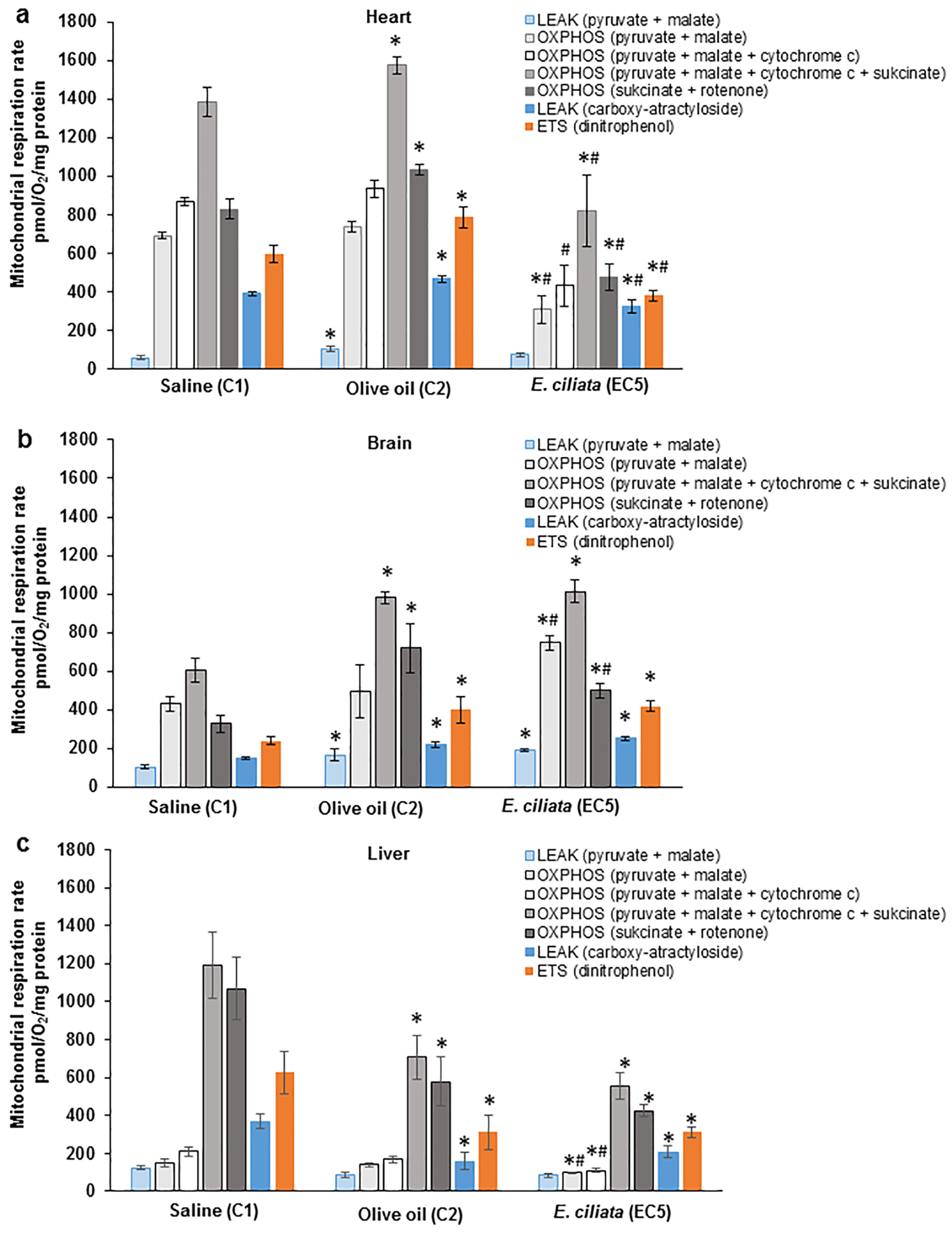 Pharmaceutics 15 02417 g006