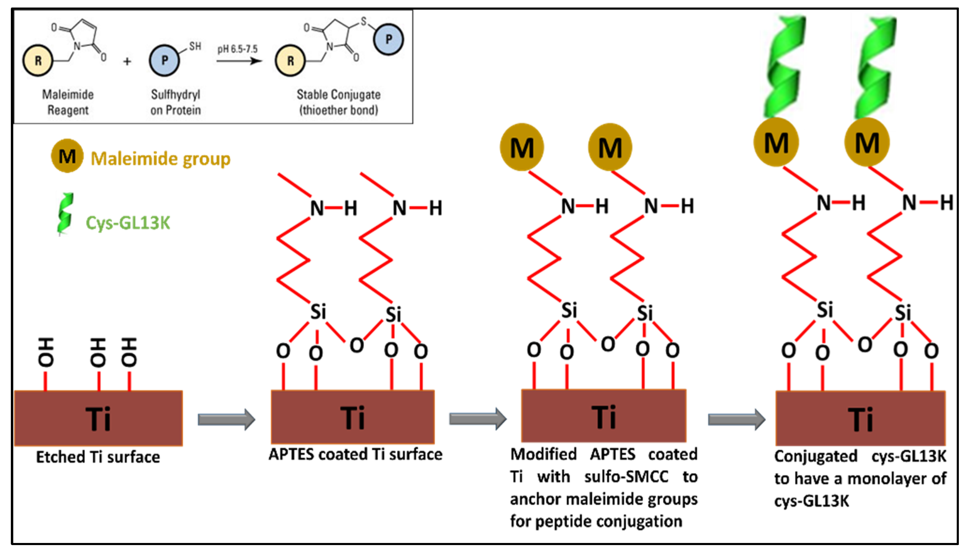 Pharmaceutics 15 02418 g001