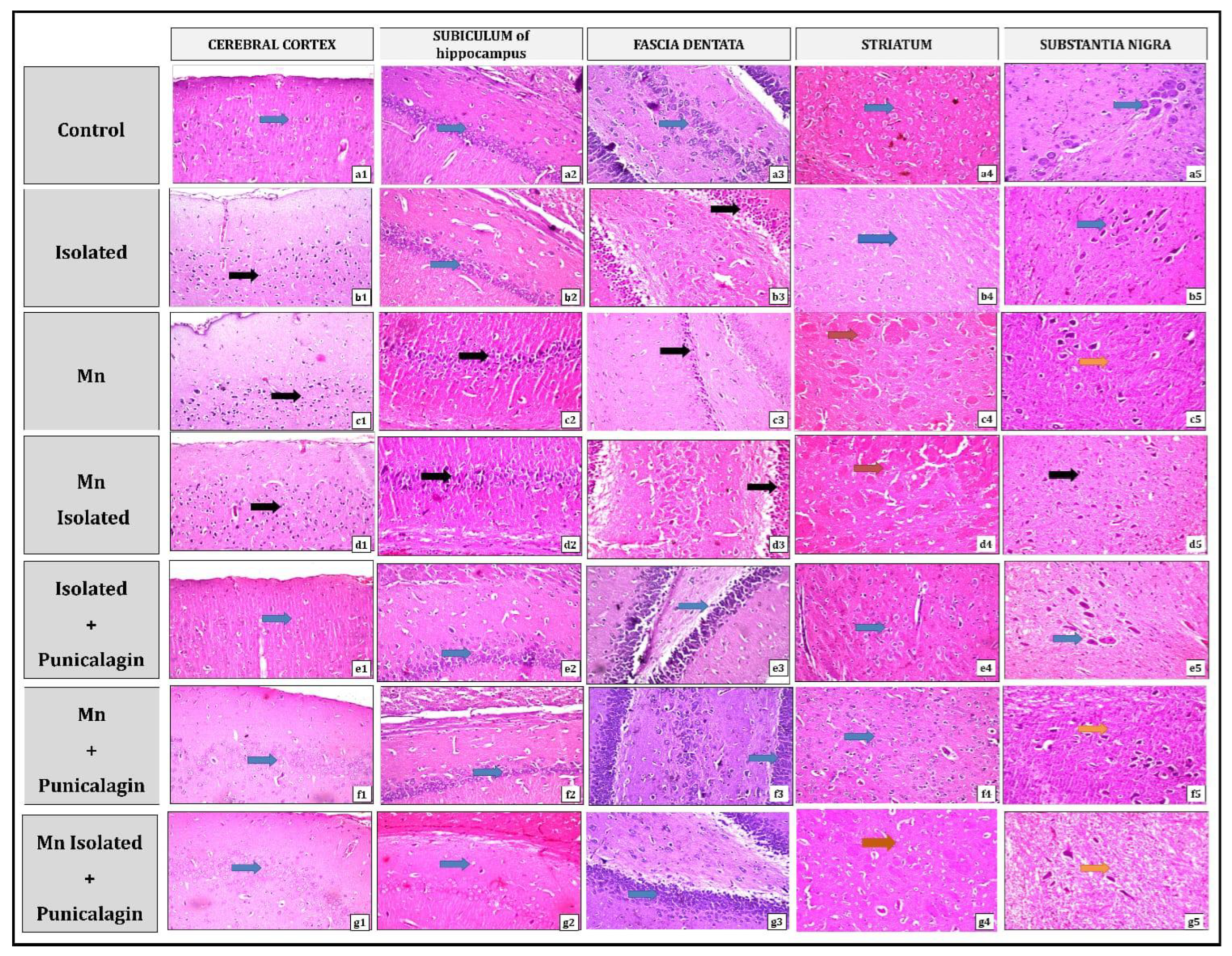 Pharmaceutics 15 02420 g010