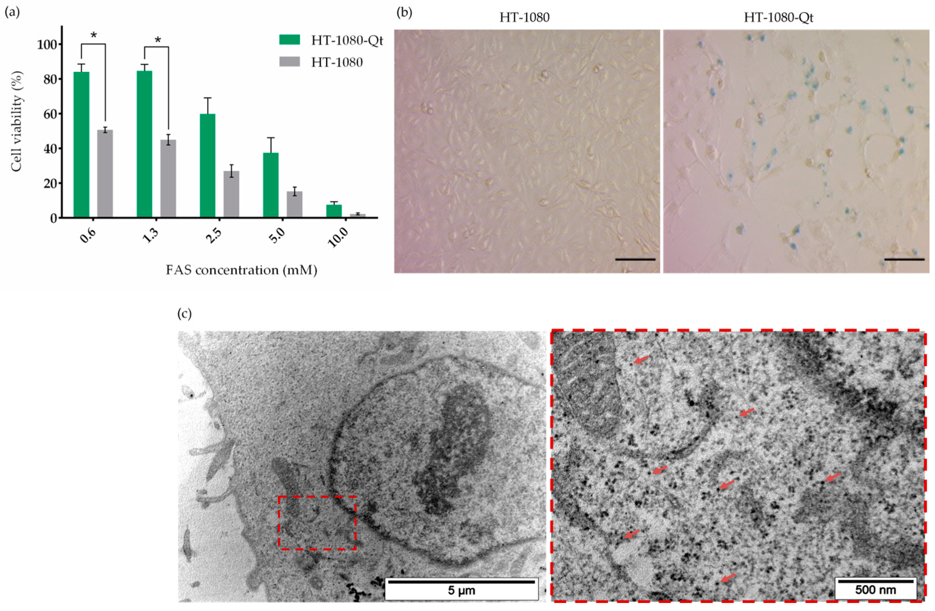 Pharmaceutics 15 02422 g001