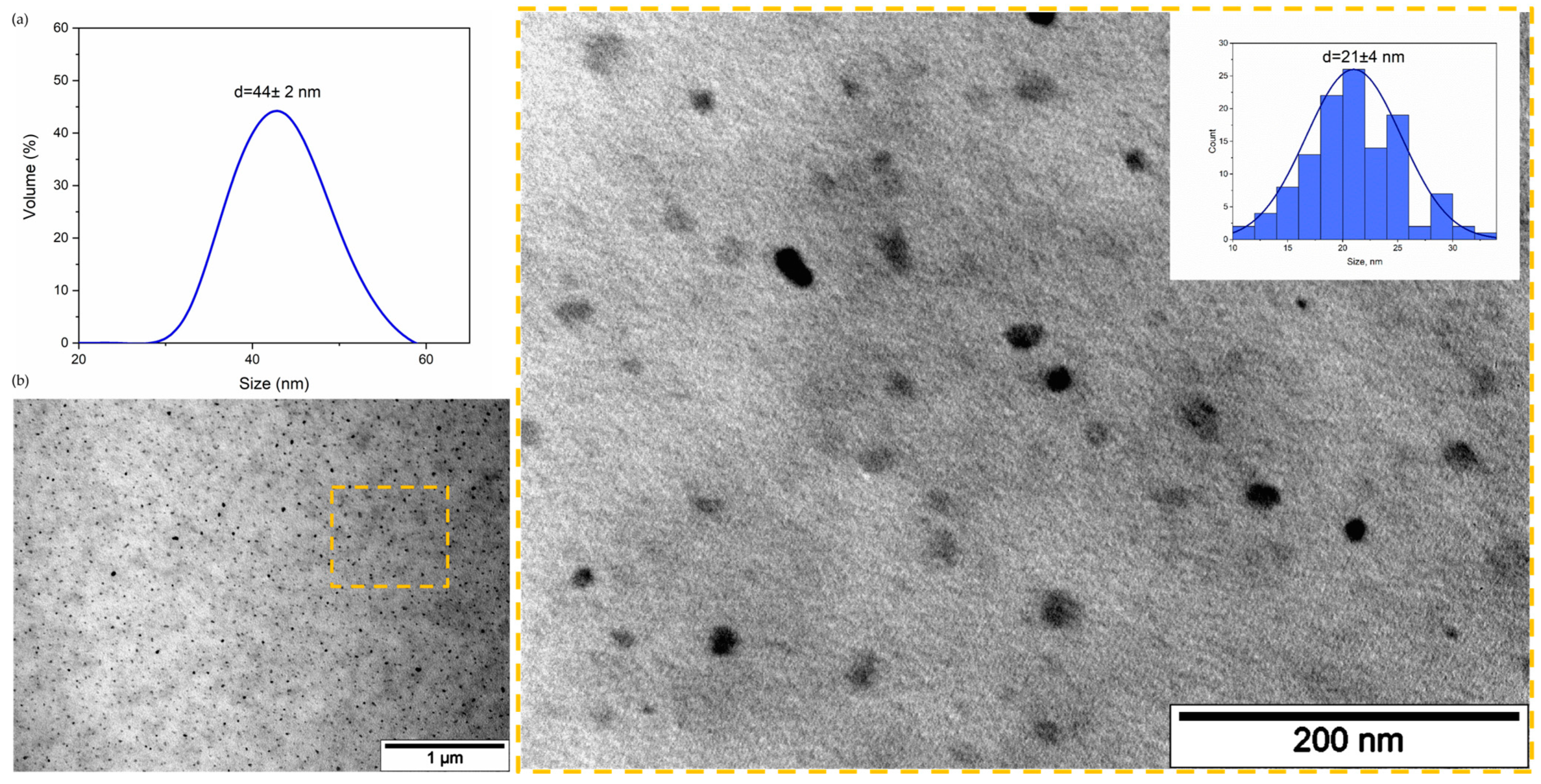 Pharmaceutics 15 02422 g003