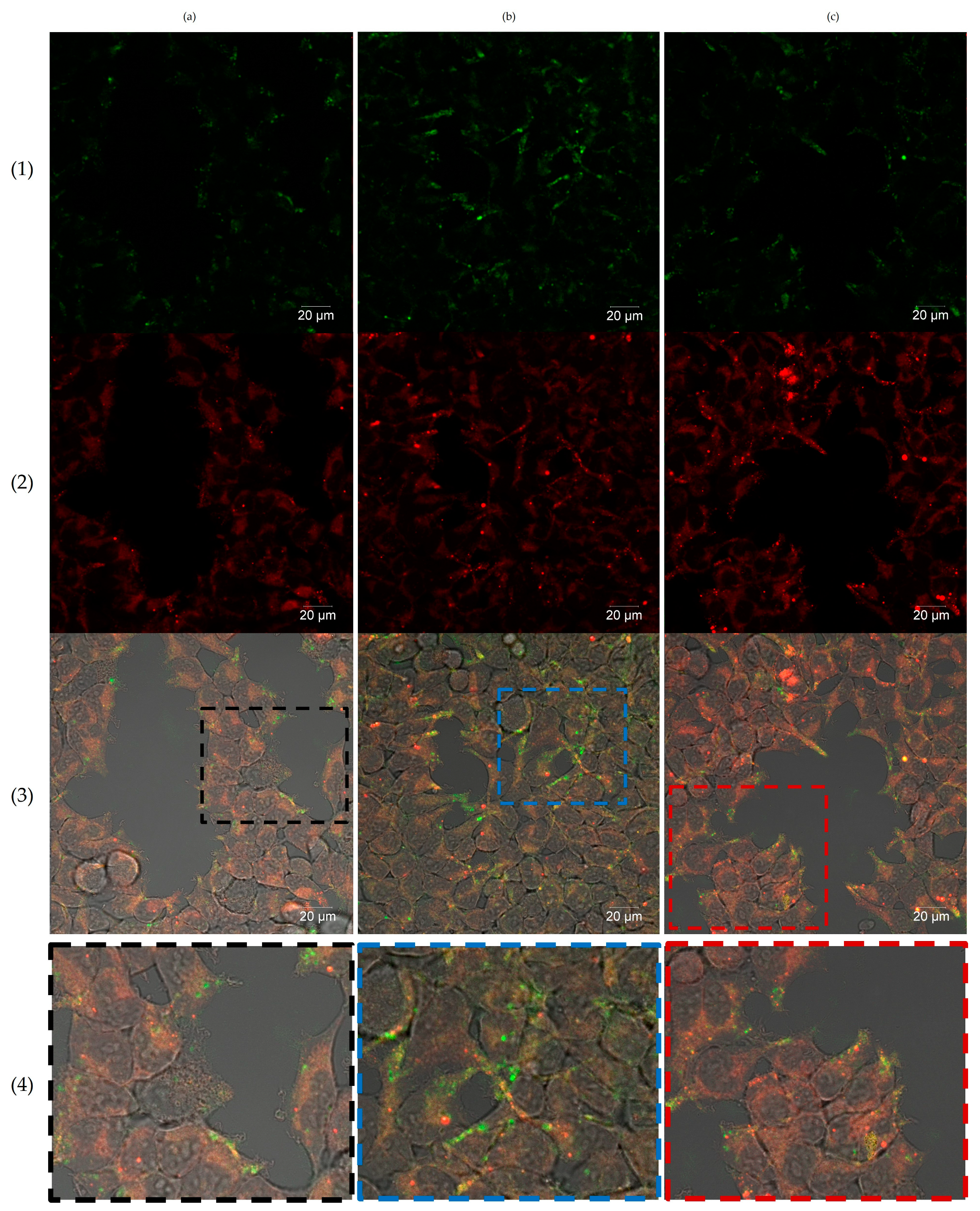 Pharmaceutics 15 02422 g006