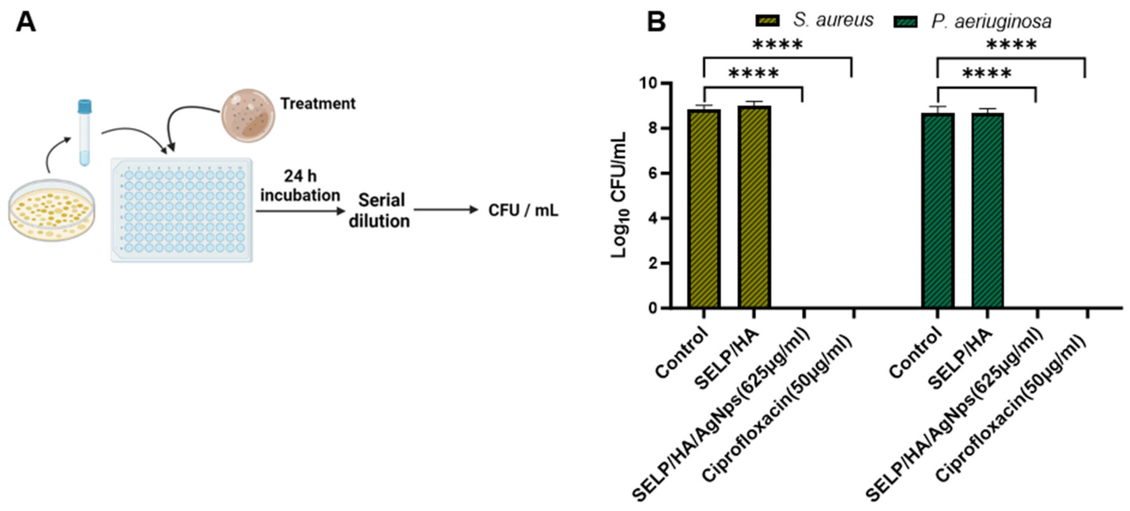 Pharmaceutics 15 02426 g004