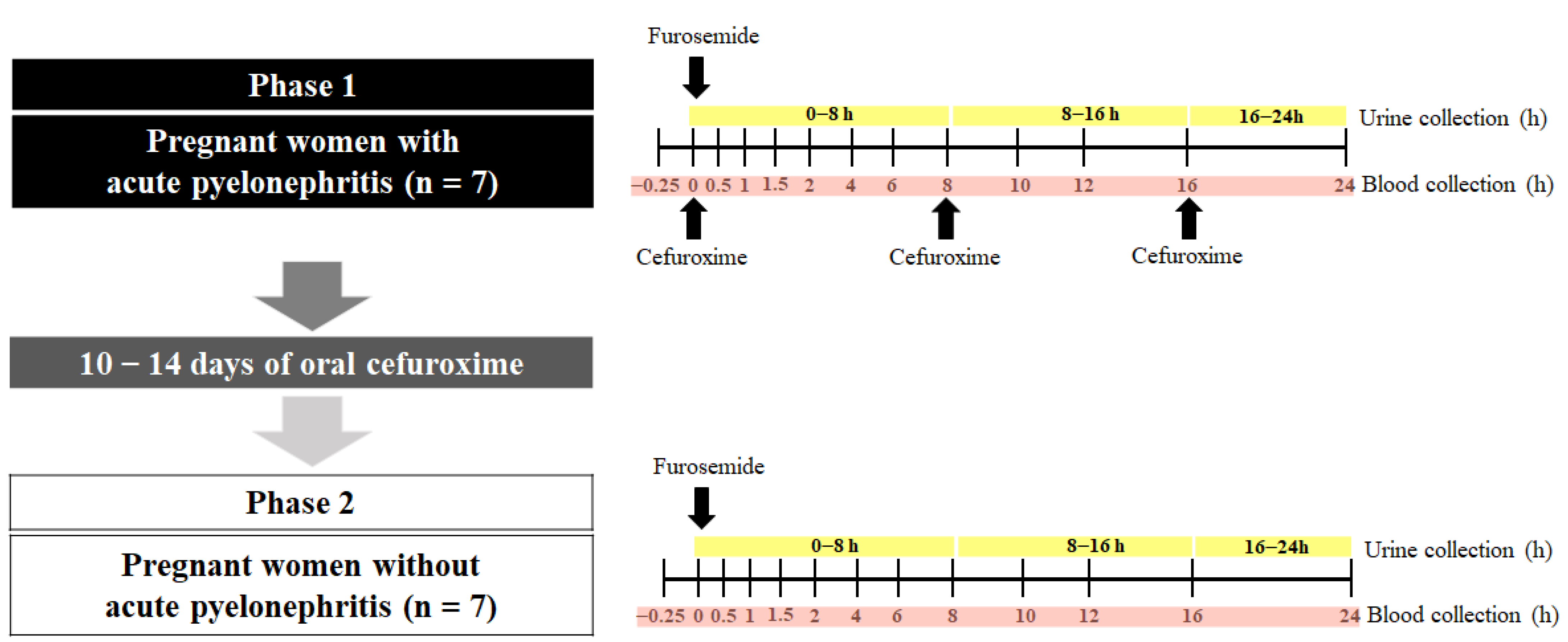 Pharmaceutics 15 02427 g001