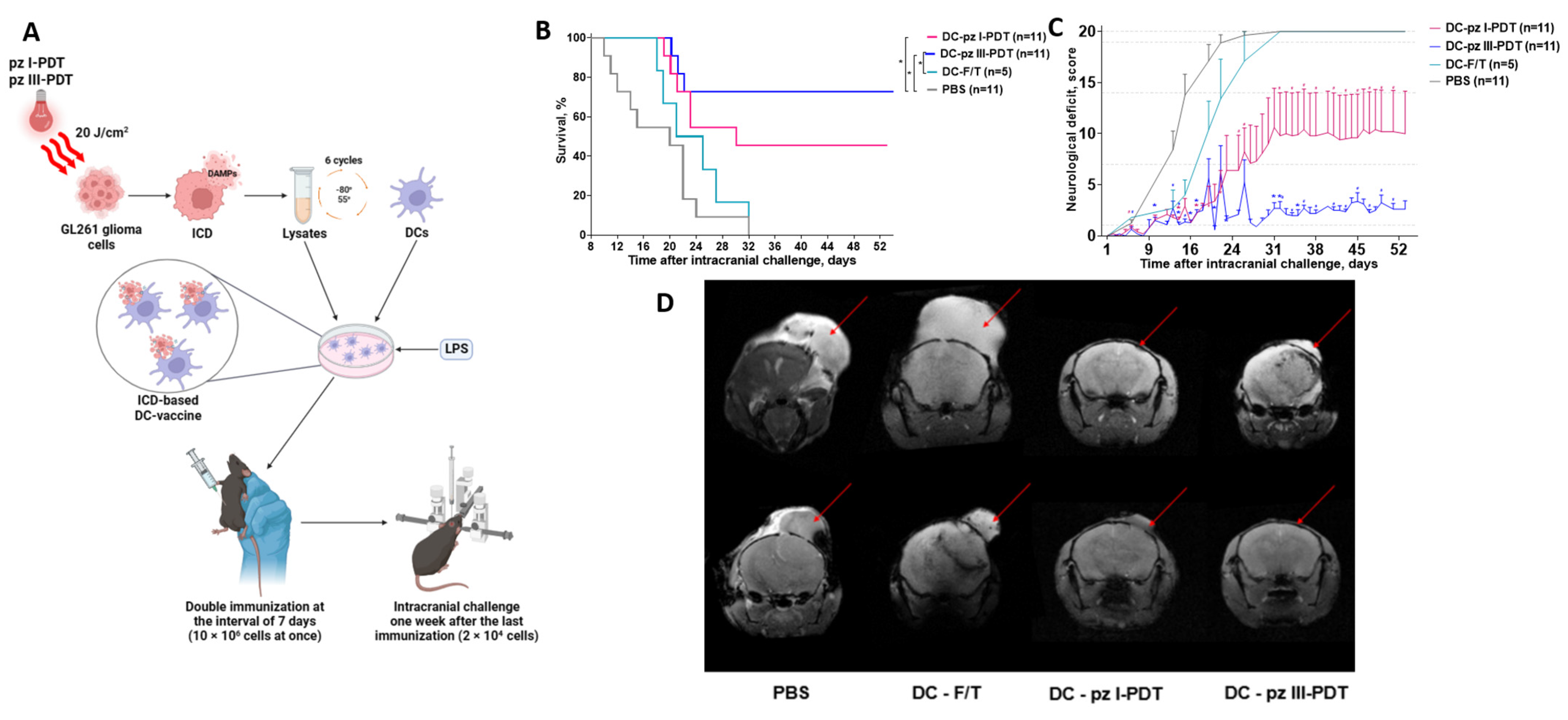 Pharmaceutics 15 02430 g006