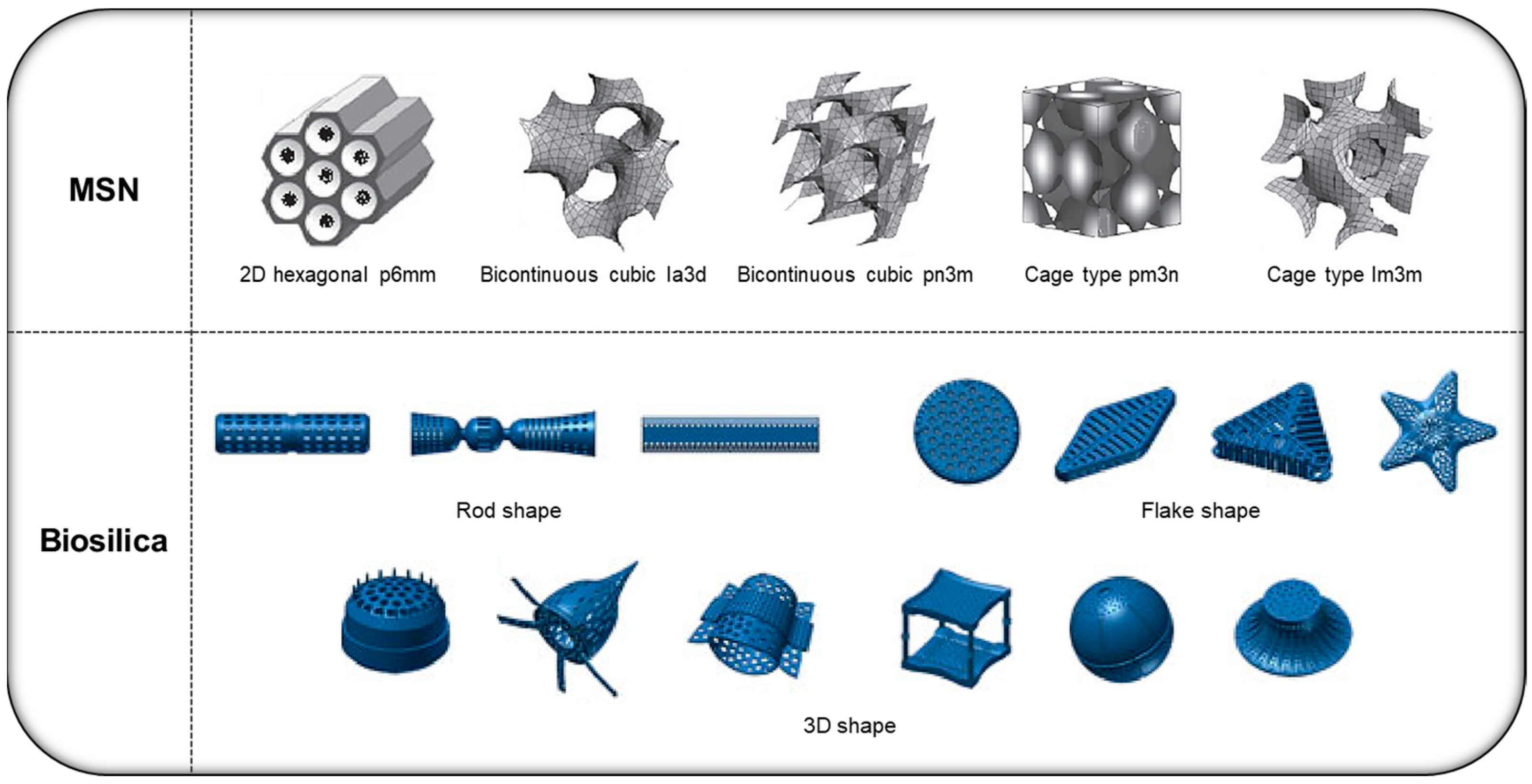 Pharmaceutics 15 02434 g001