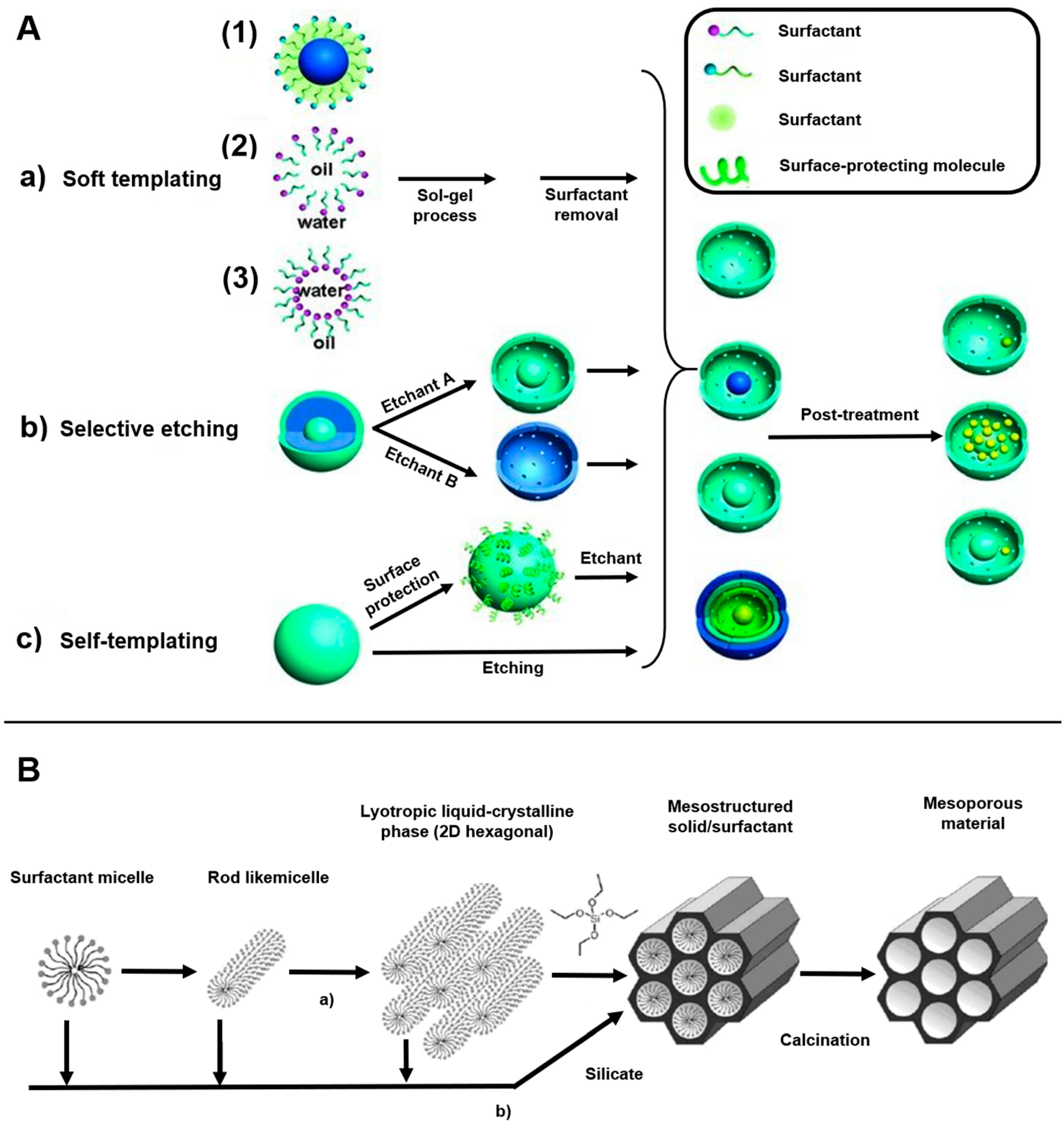 Pharmaceutics 15 02434 g002