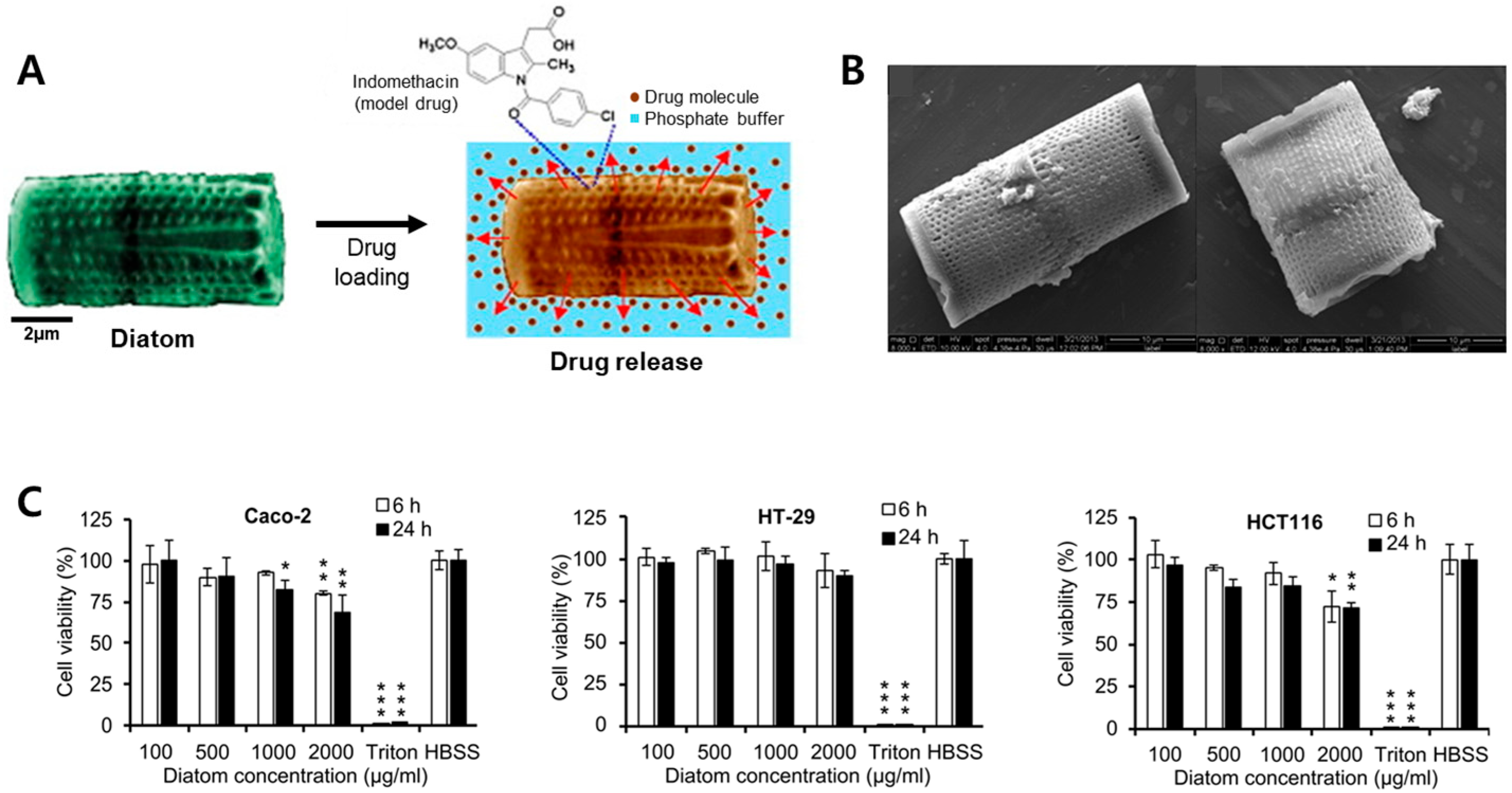 Pharmaceutics 15 02434 g004