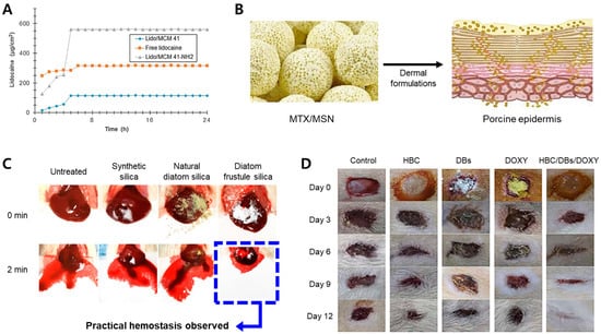 Pharmaceutics 15 02434 g005