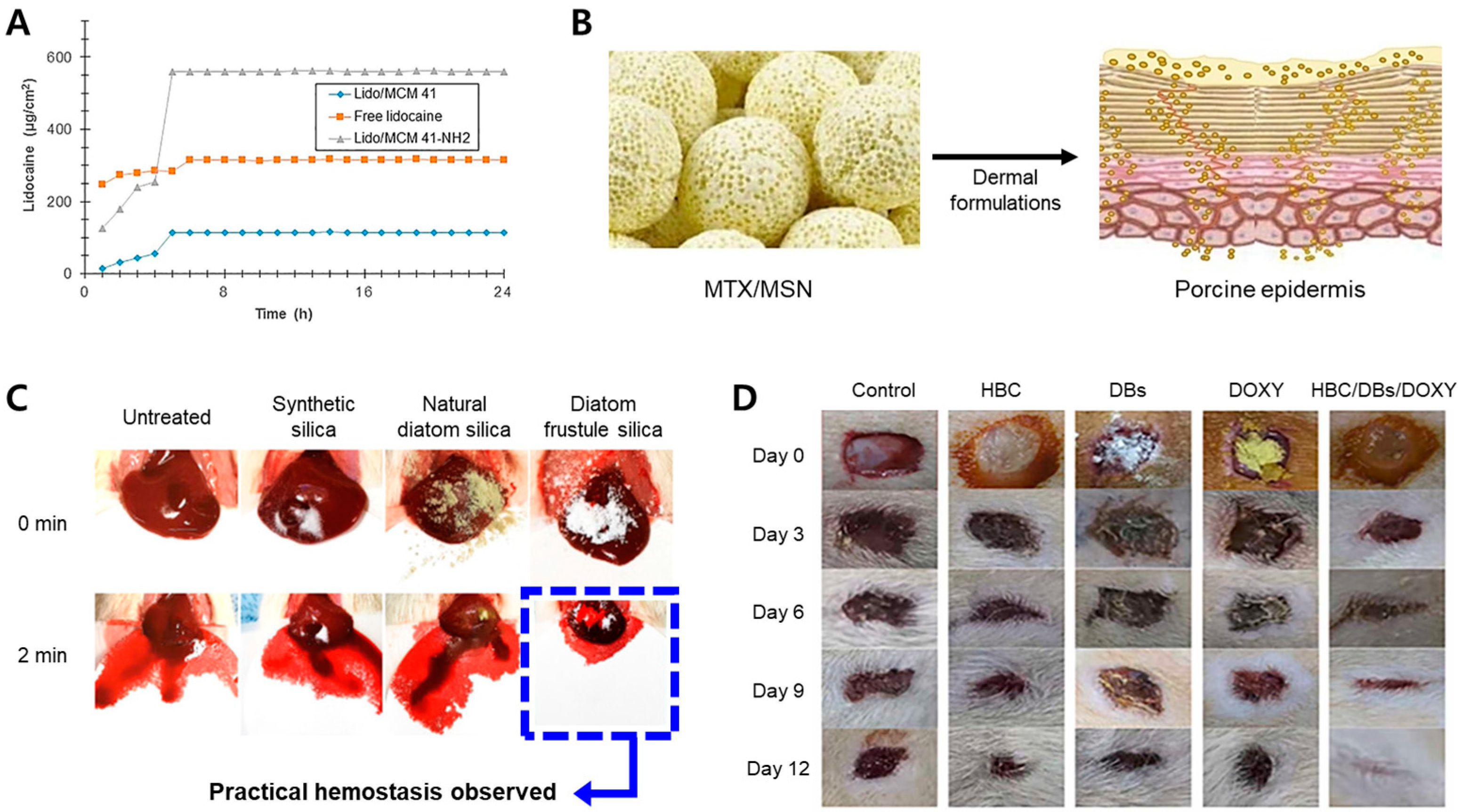 Pharmaceutics 15 02434 g005