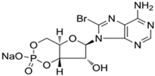Pharmaceutics 15 02456 i006 Pharmaceutics 15 02456 i006