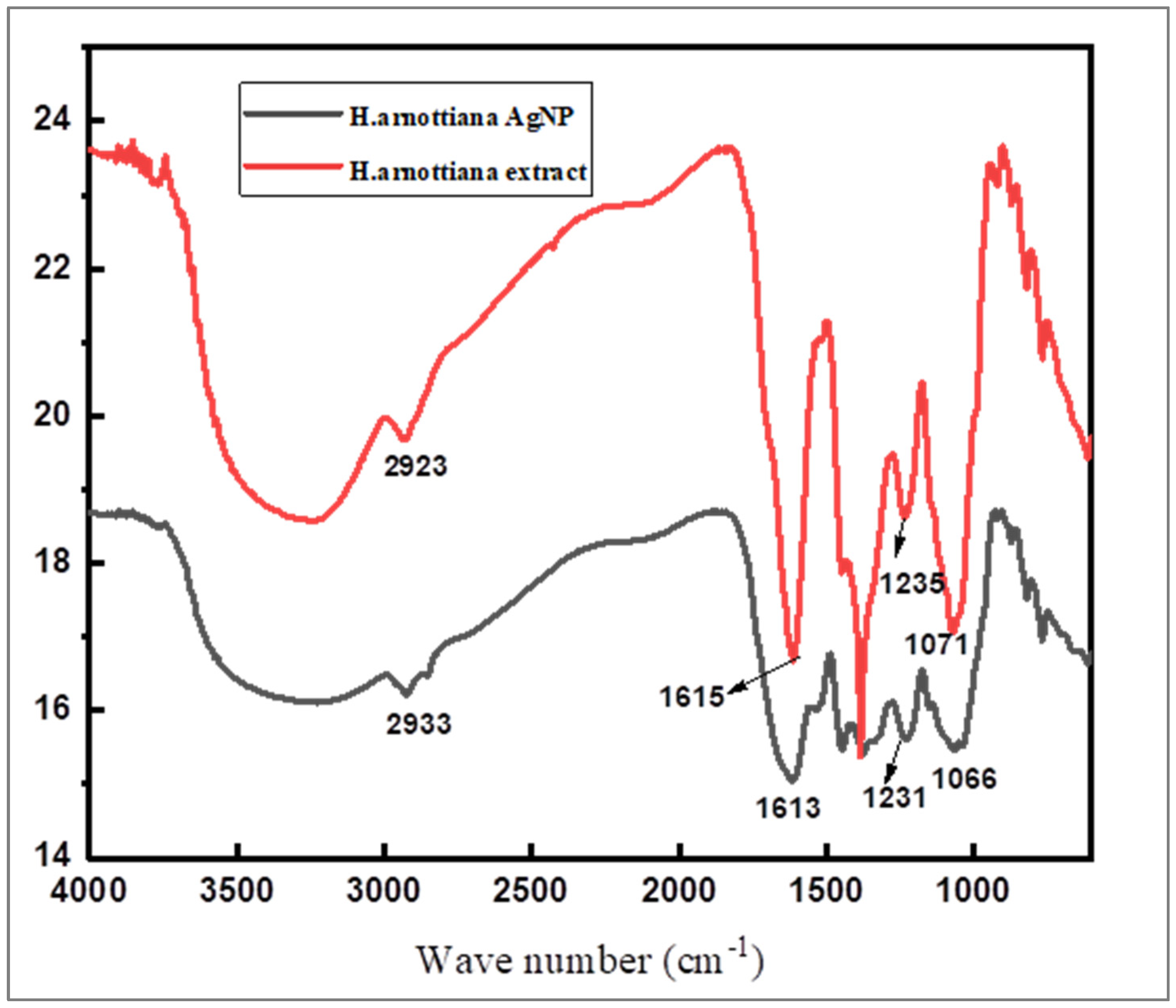 Pharmaceutics 15 02468 g005