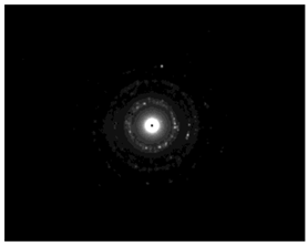 Pharmaceutics 15 02471 i002