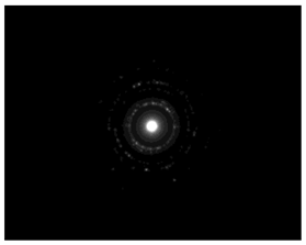 Pharmaceutics 15 02471 i006