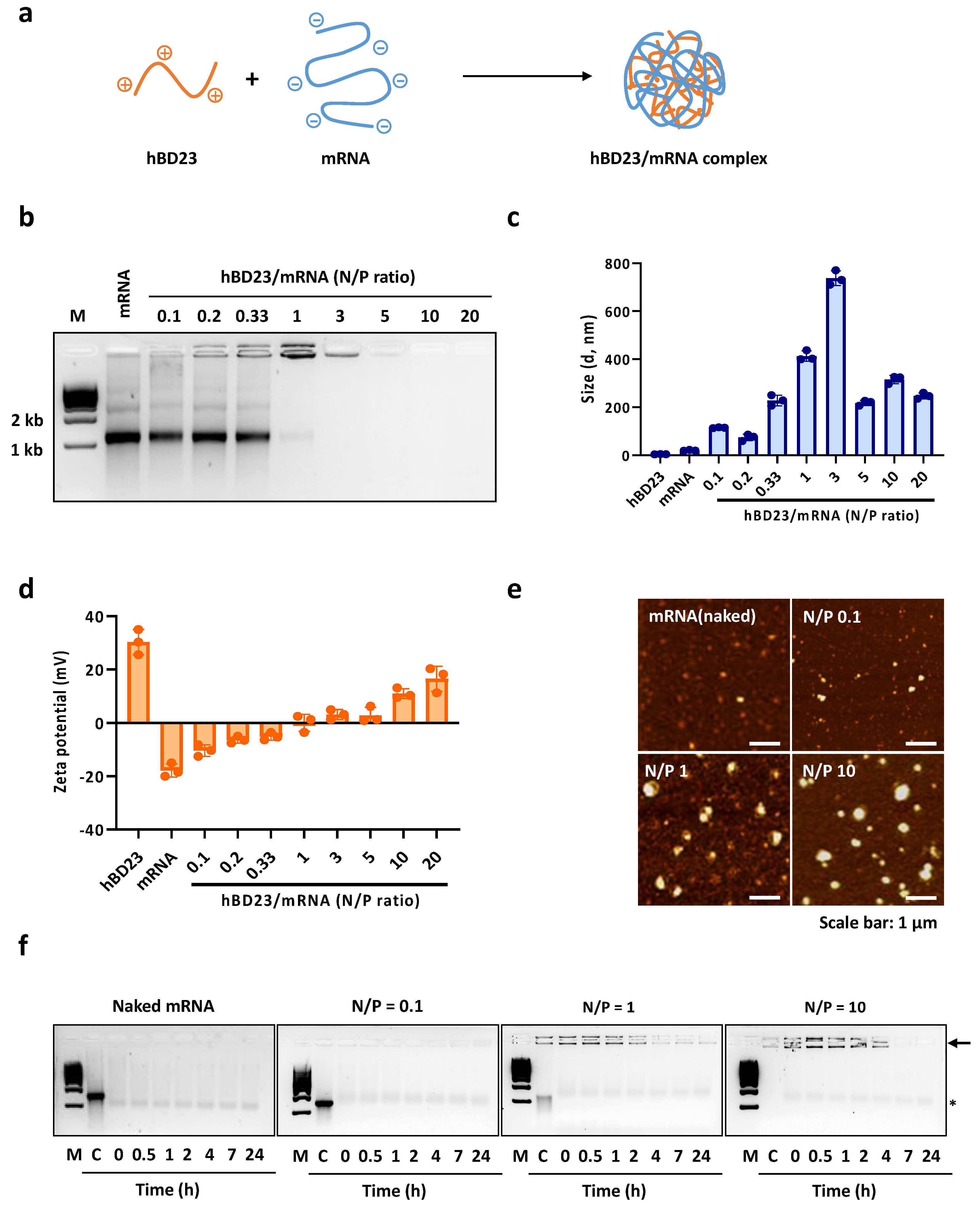 Pharmaceutics 15 02477 g001