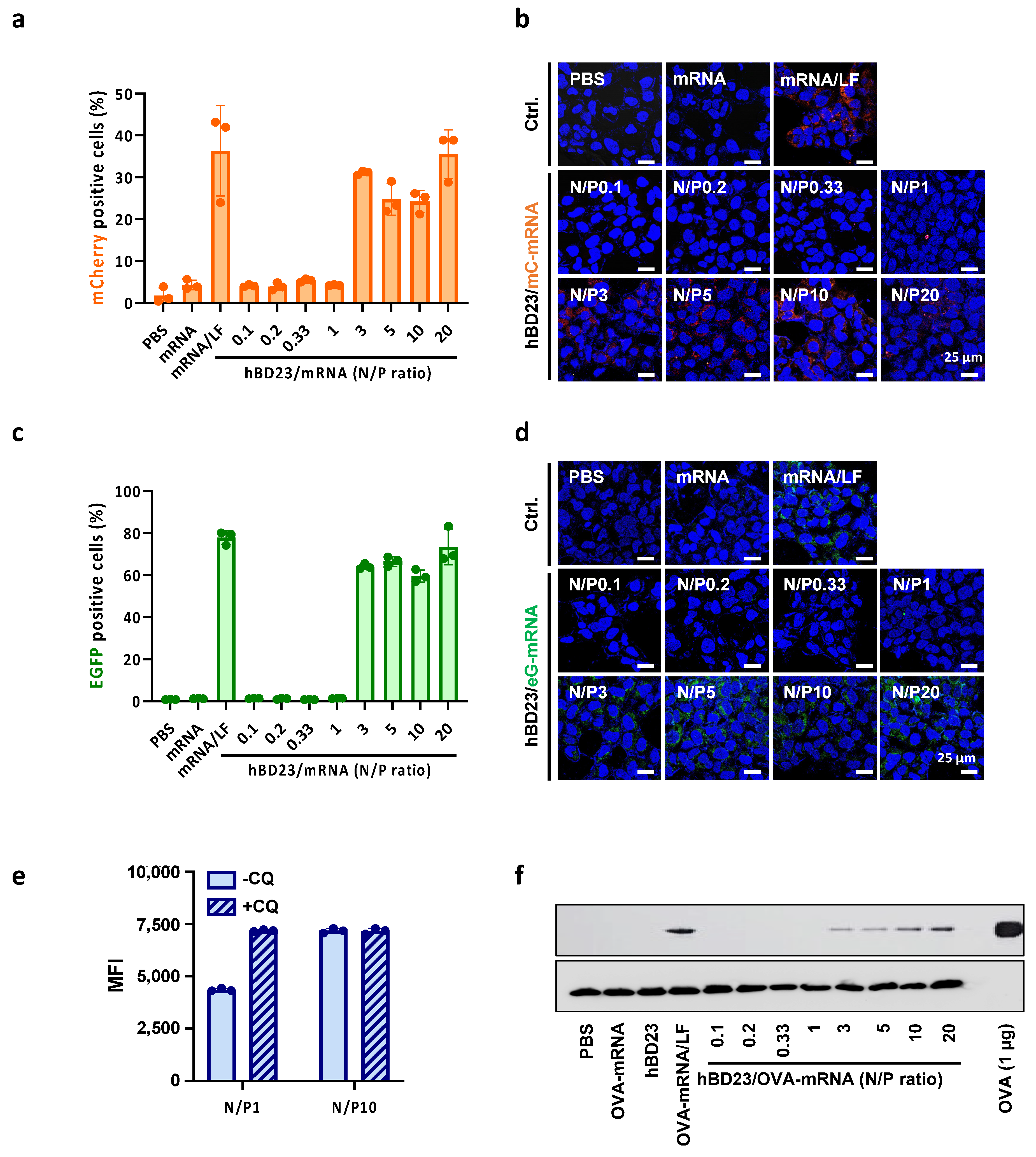 Pharmaceutics 15 02477 g003
