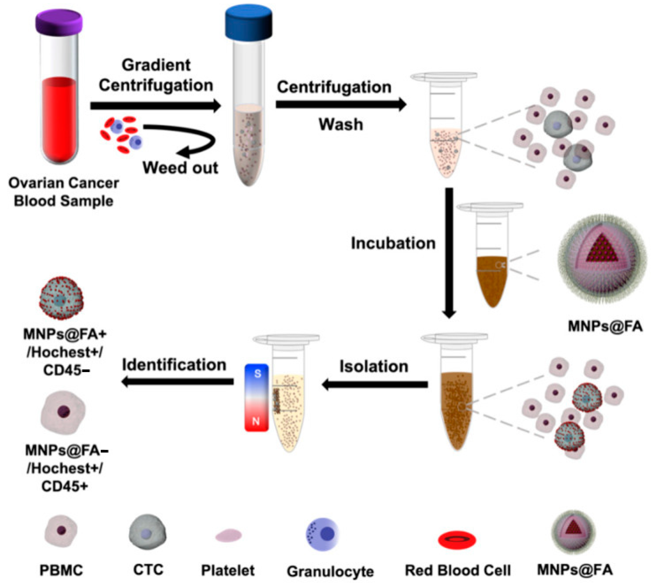Pharmaceutics 15 02482 g004 Pharmaceutics 15 02482 g004