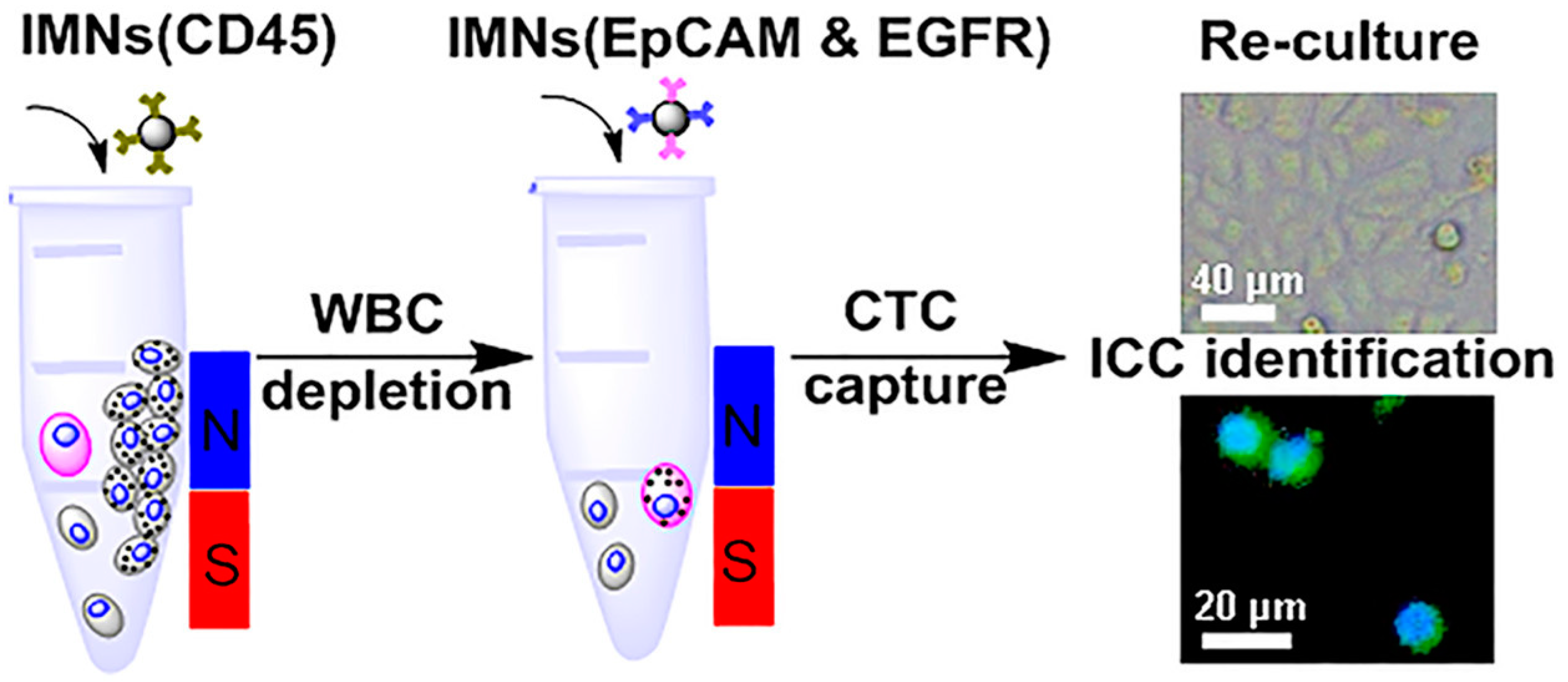 Pharmaceutics 15 02482 g008 Pharmaceutics 15 02482 g008
