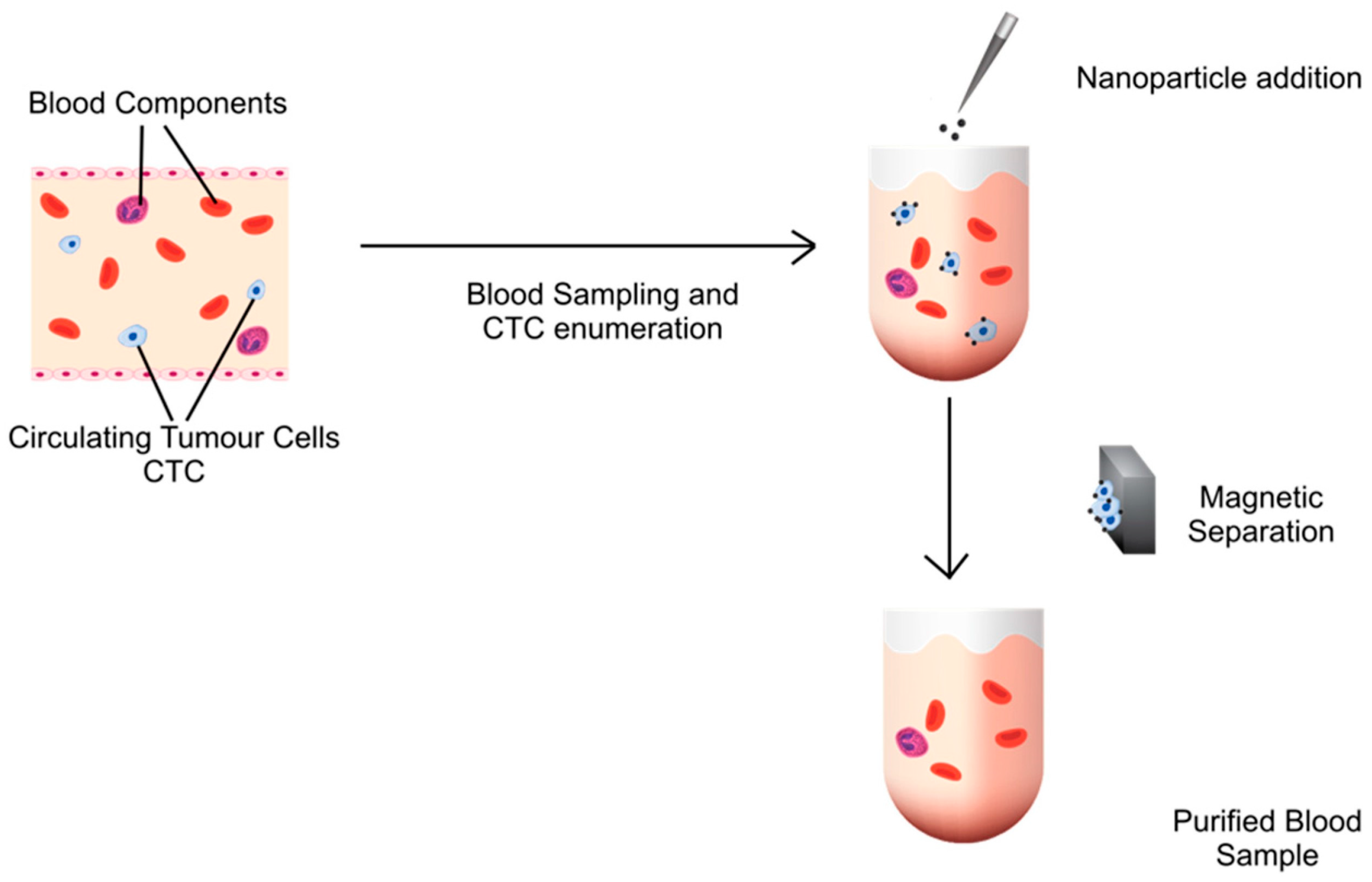 Pharmaceutics 15 02482 g009 Pharmaceutics 15 02482 g009