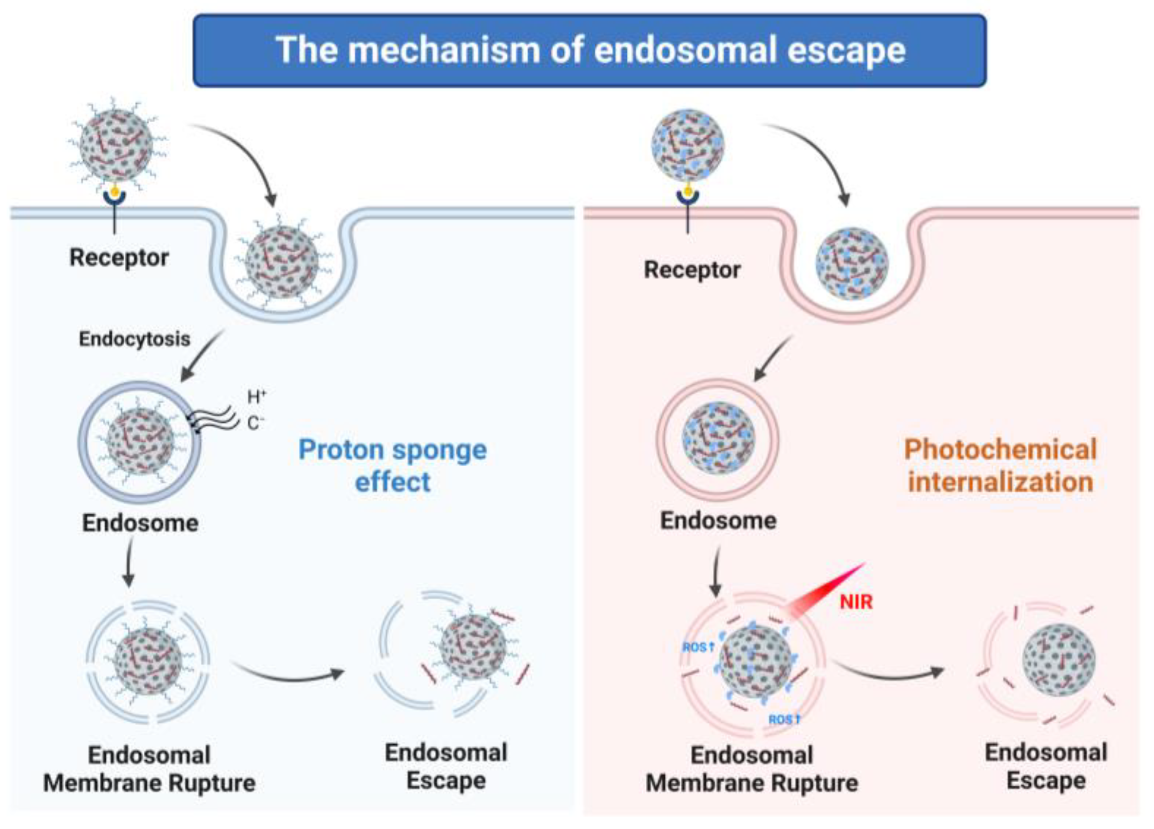 Pharmaceutics 15 02483 g003