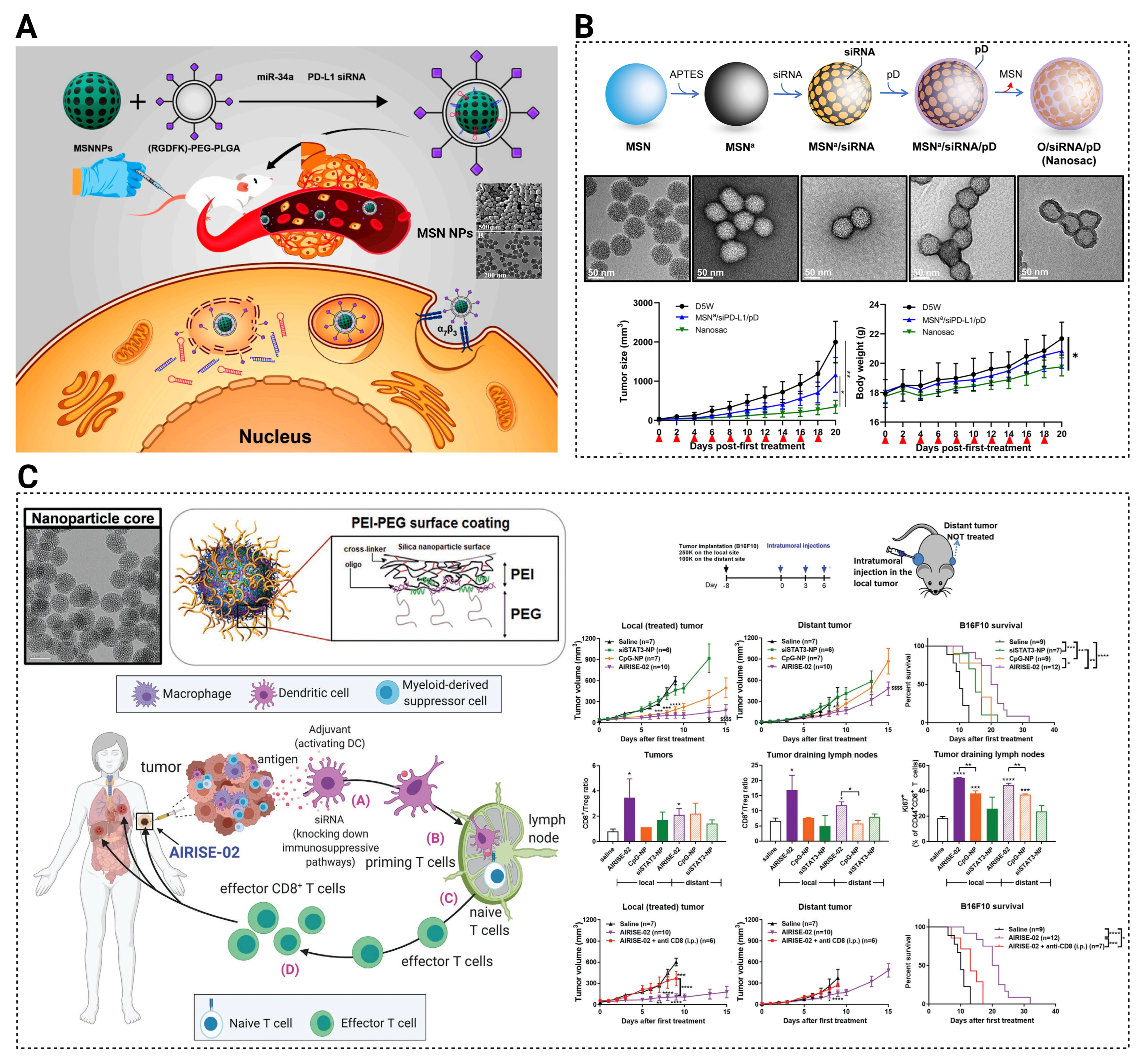 Pharmaceutics 15 02483 g006