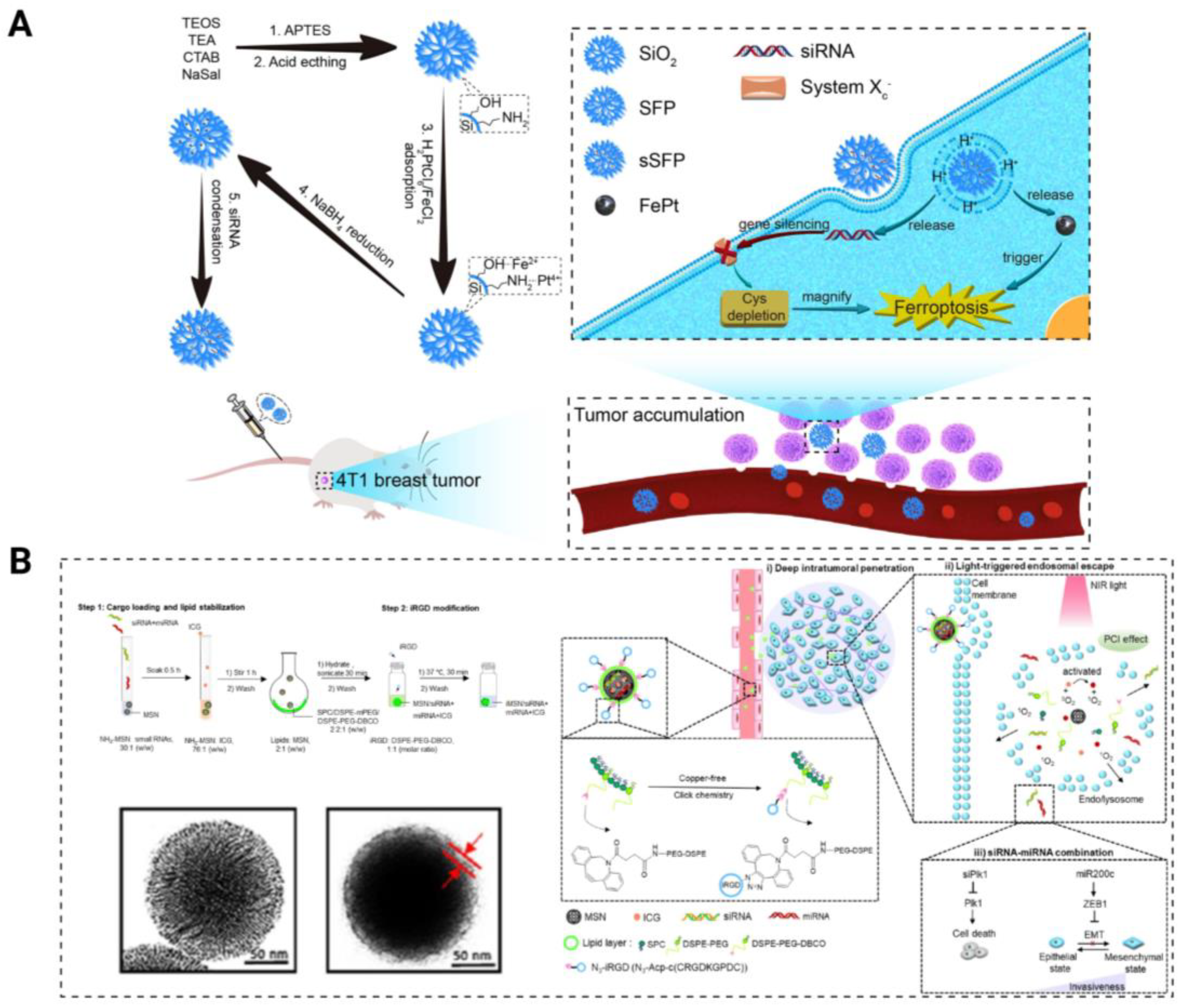 Pharmaceutics 15 02483 g007