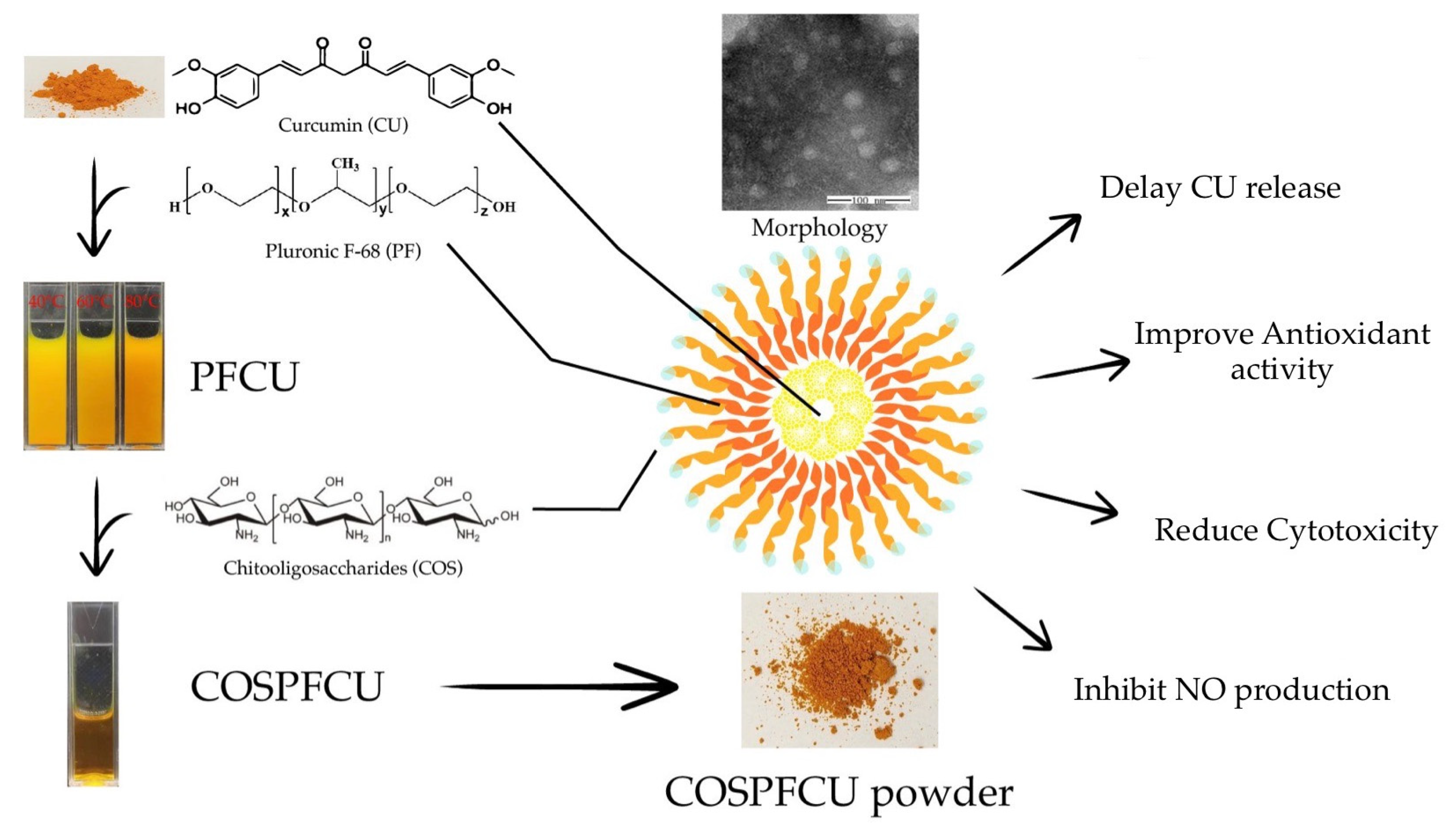 Pharmaceutics 15 02497 g001