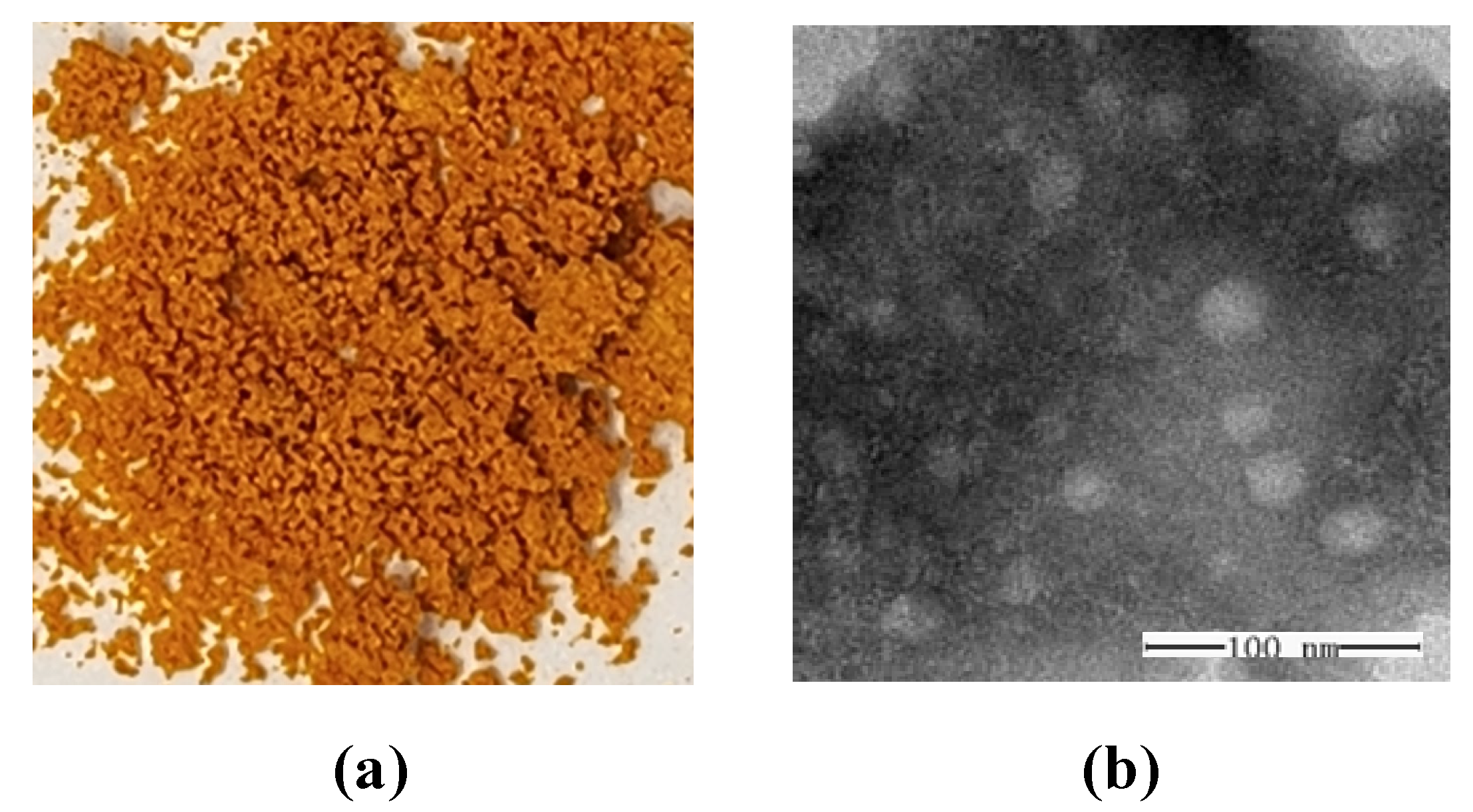 Pharmaceutics 15 02497 g003
