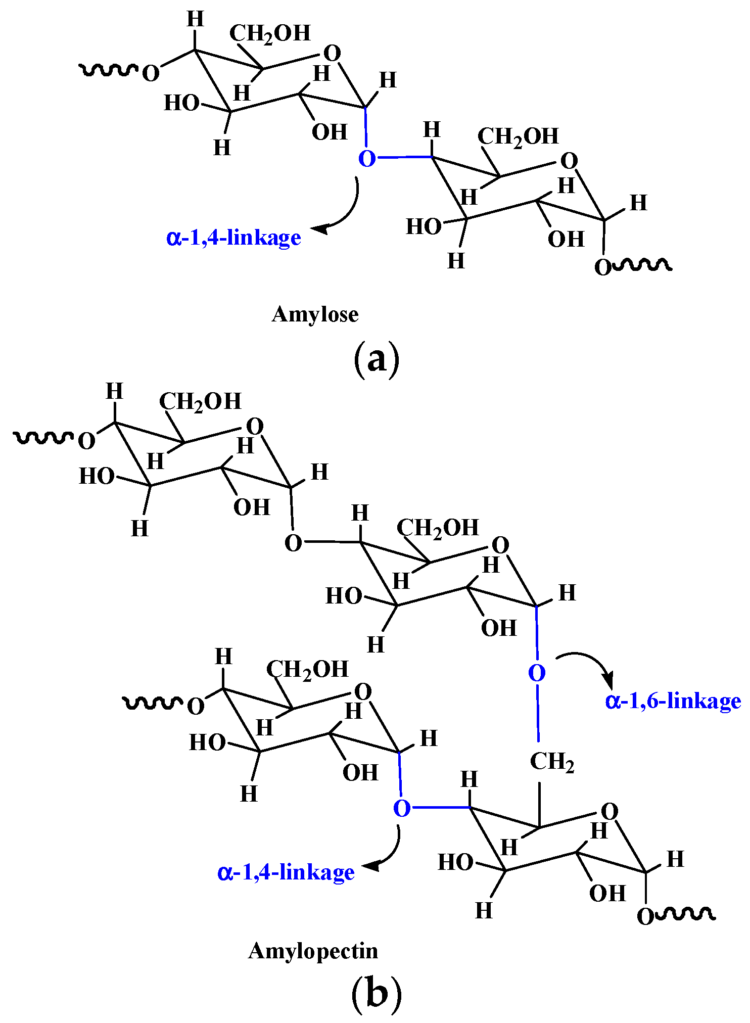 Pharmaceutics 15 02514 g006