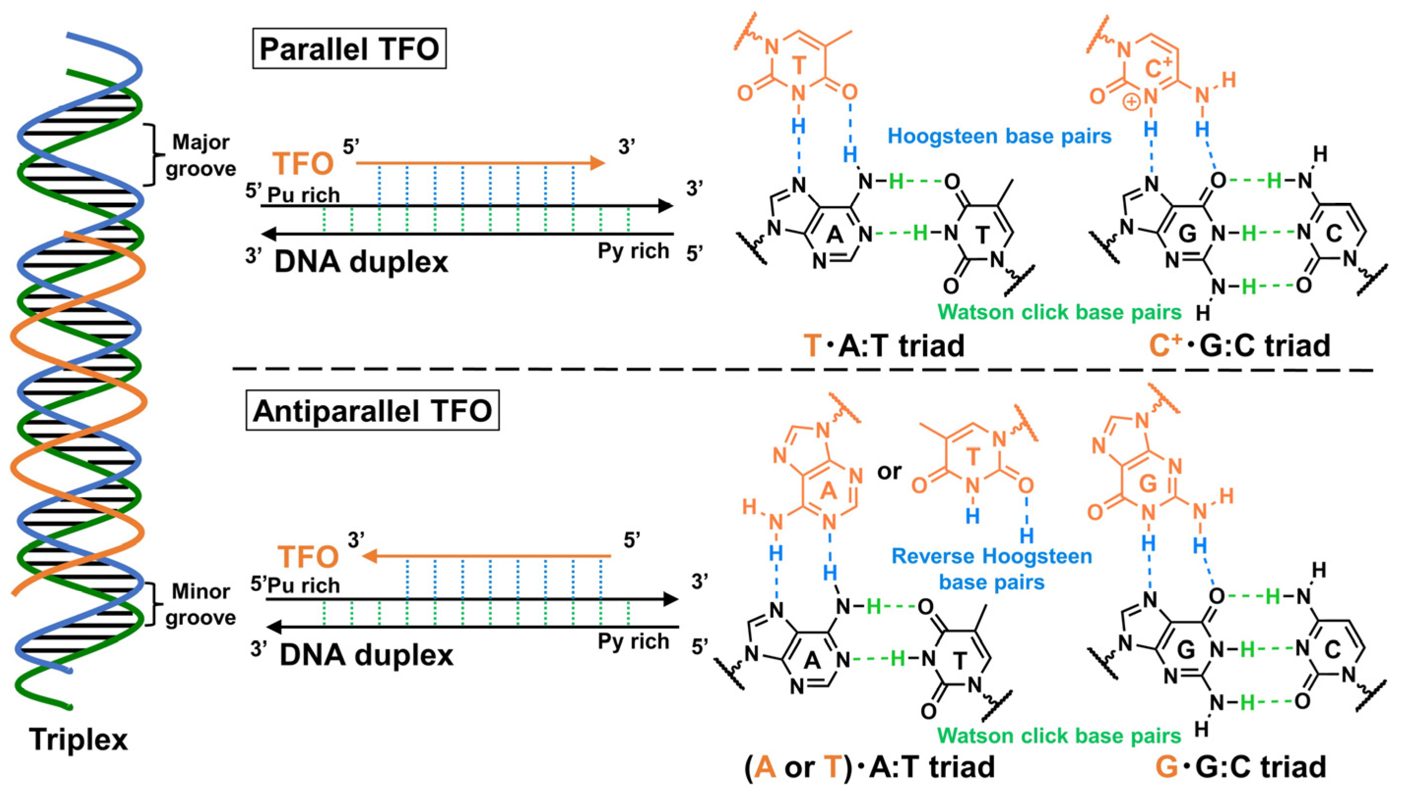 Pharmaceutics 15 02515 g001 Pharmaceutics 15 02515 g001