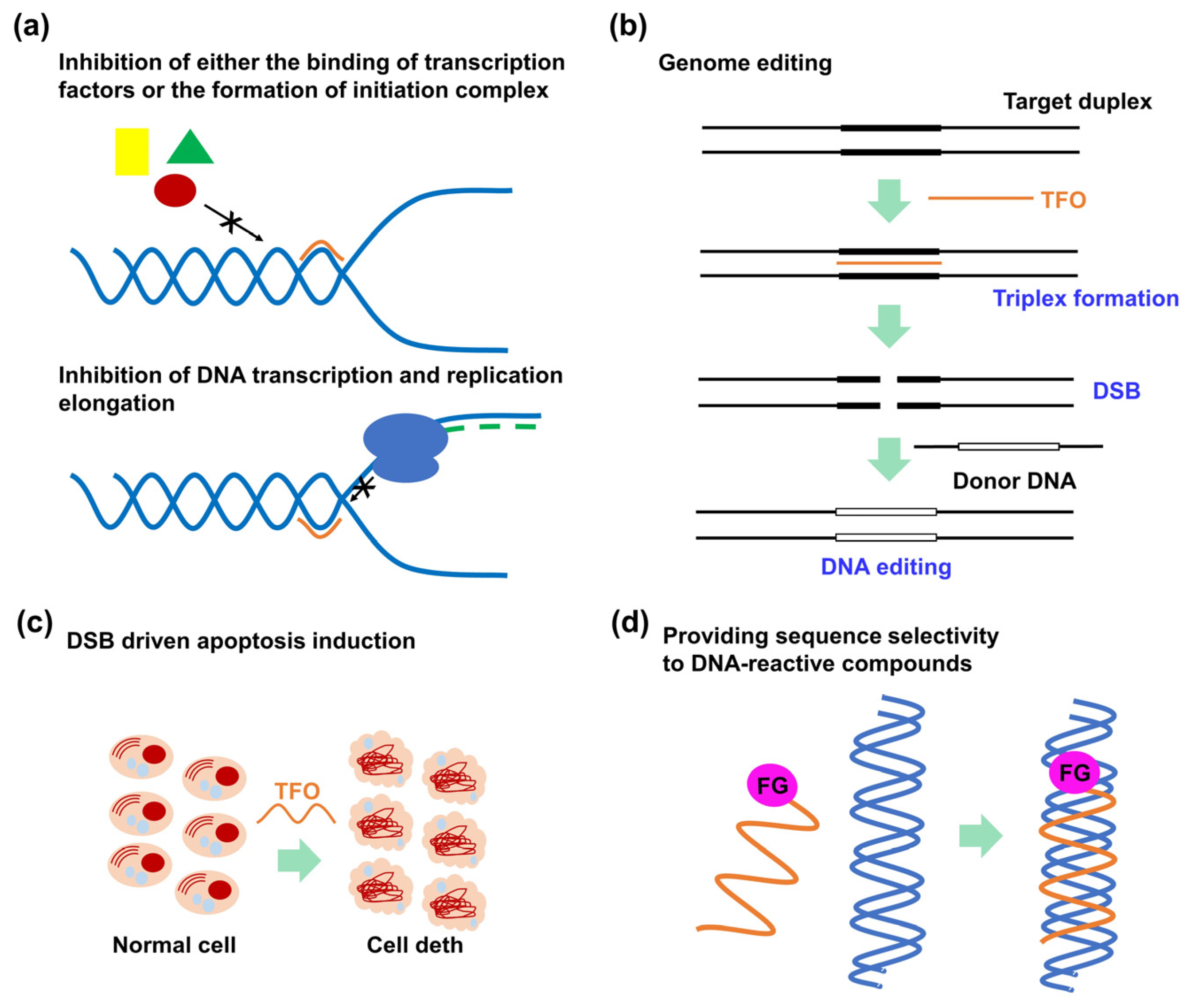 Pharmaceutics 15 02515 g002 Pharmaceutics 15 02515 g002