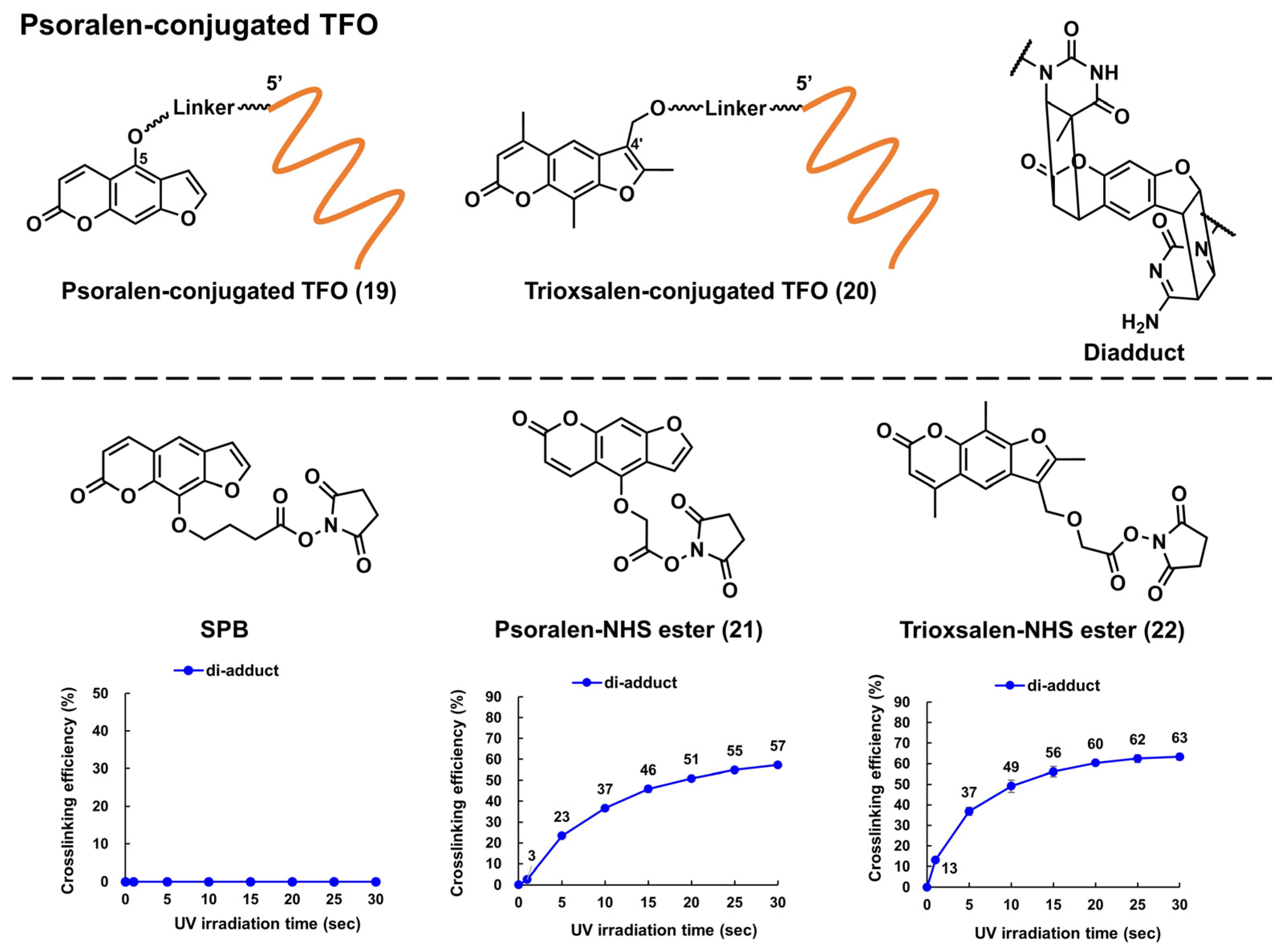 Pharmaceutics 15 02515 g005 Pharmaceutics 15 02515 g005