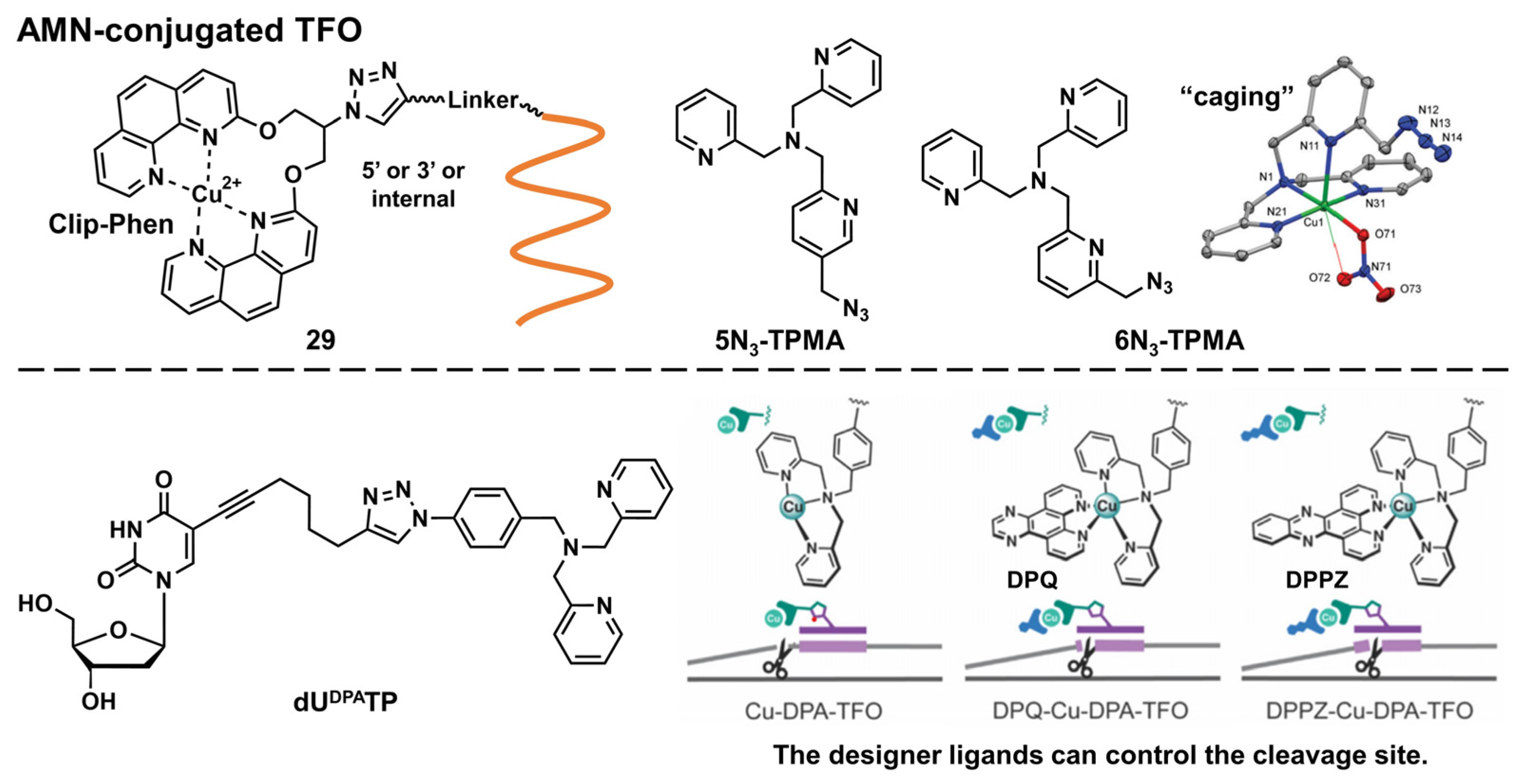 Pharmaceutics 15 02515 g007 Pharmaceutics 15 02515 g007