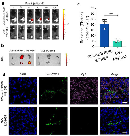 Pharmaceutics 15 02516 g006