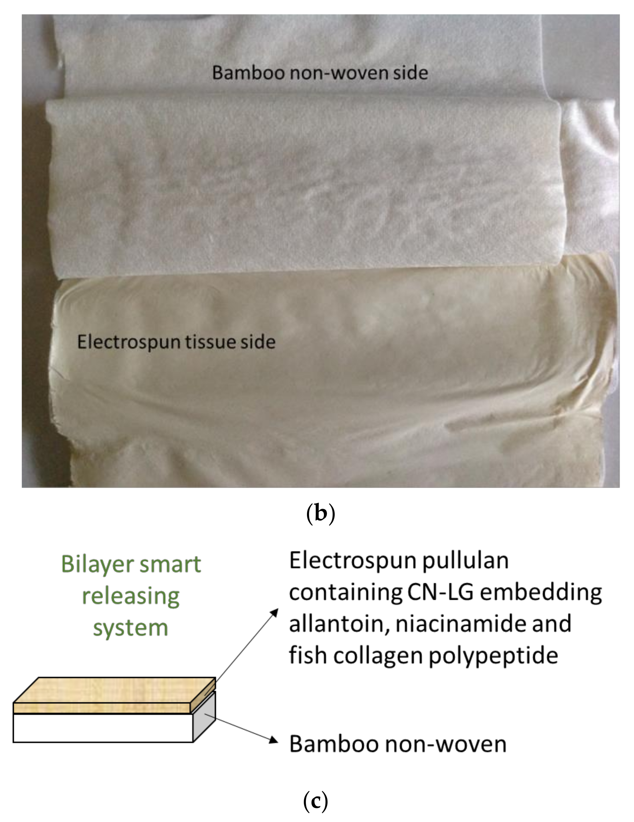 Pharmaceutics 15 02525 g001b