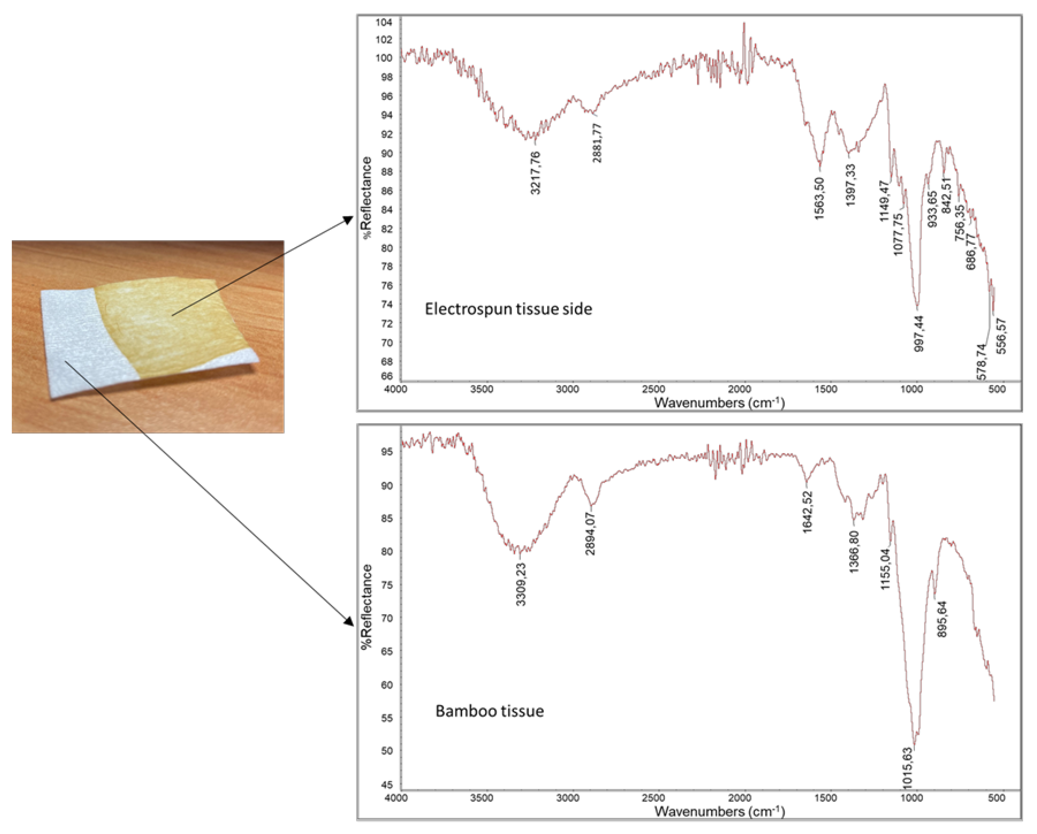 Pharmaceutics 15 02525 g003