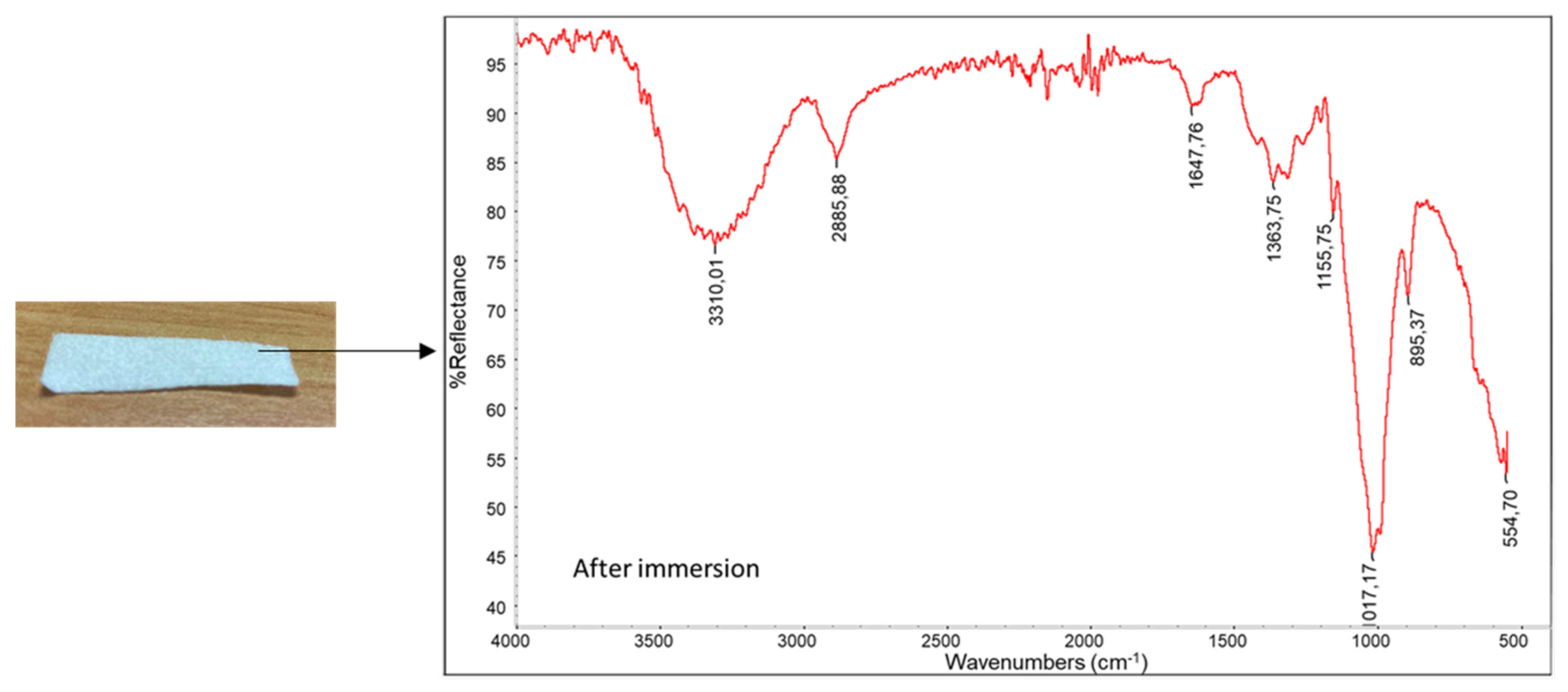 Pharmaceutics 15 02525 g005
