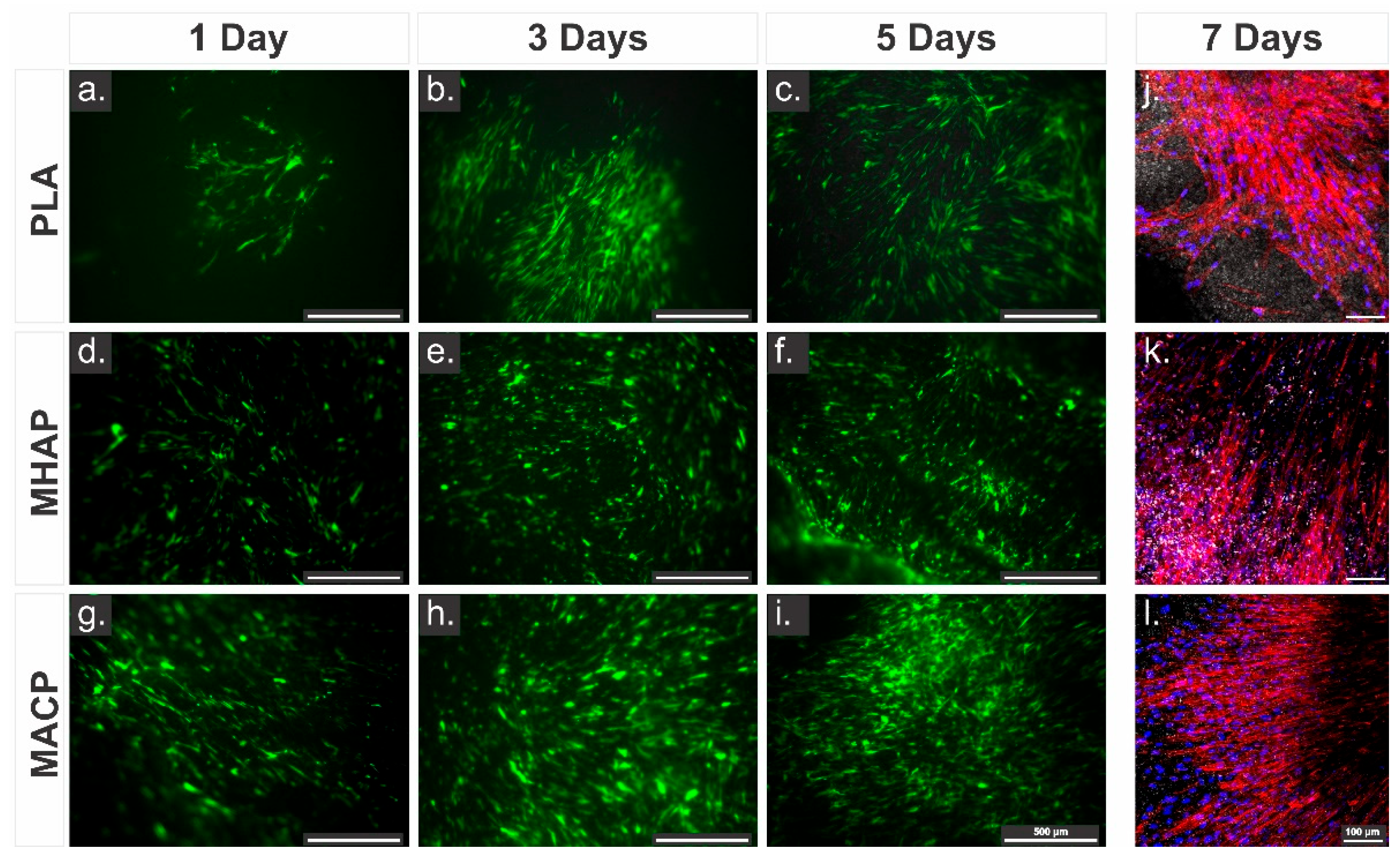 Pharmaceutics 15 02529 g005