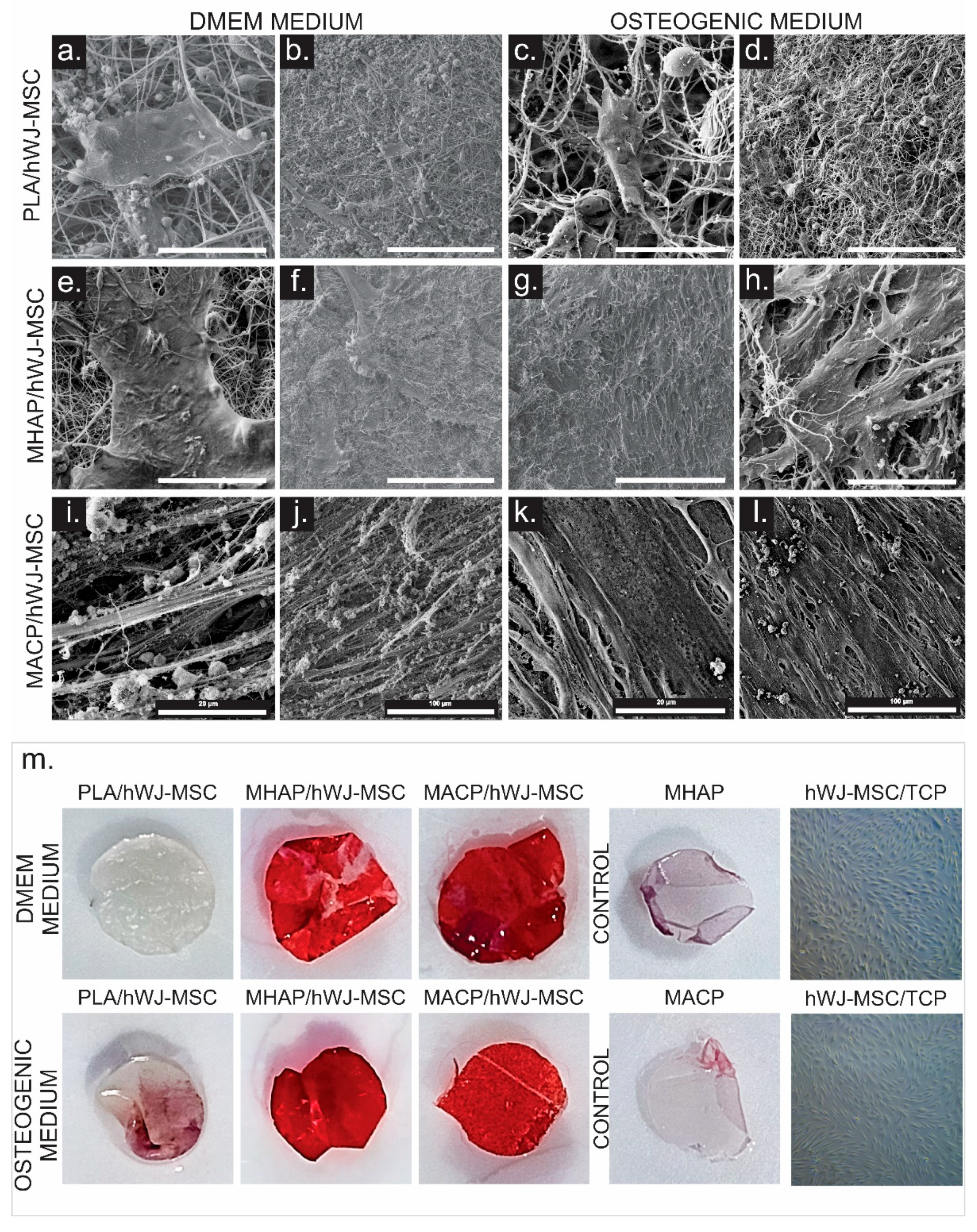 Pharmaceutics 15 02529 g008
