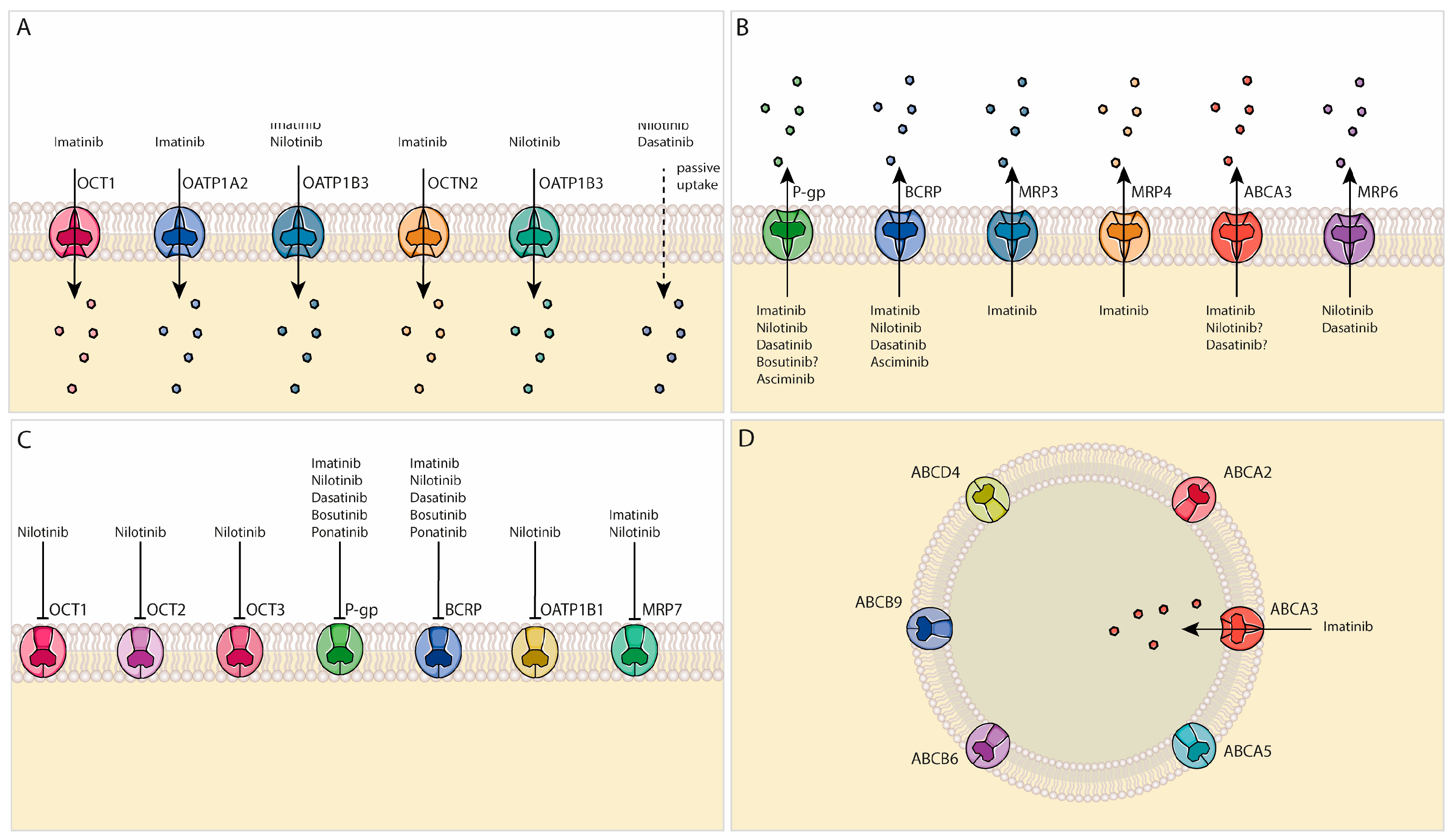 Pharmaceutics 15 02535 g002