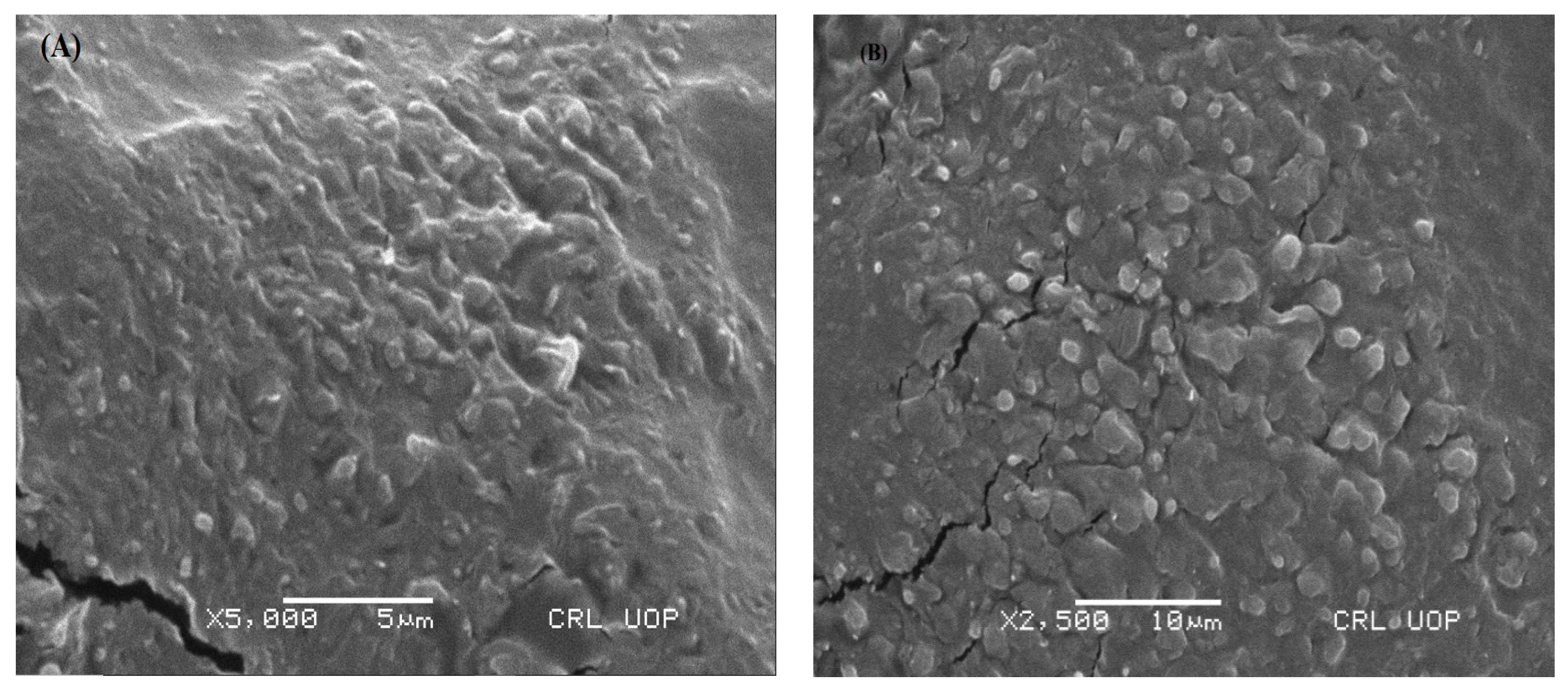 Pharmaceutics 15 02537 g001
