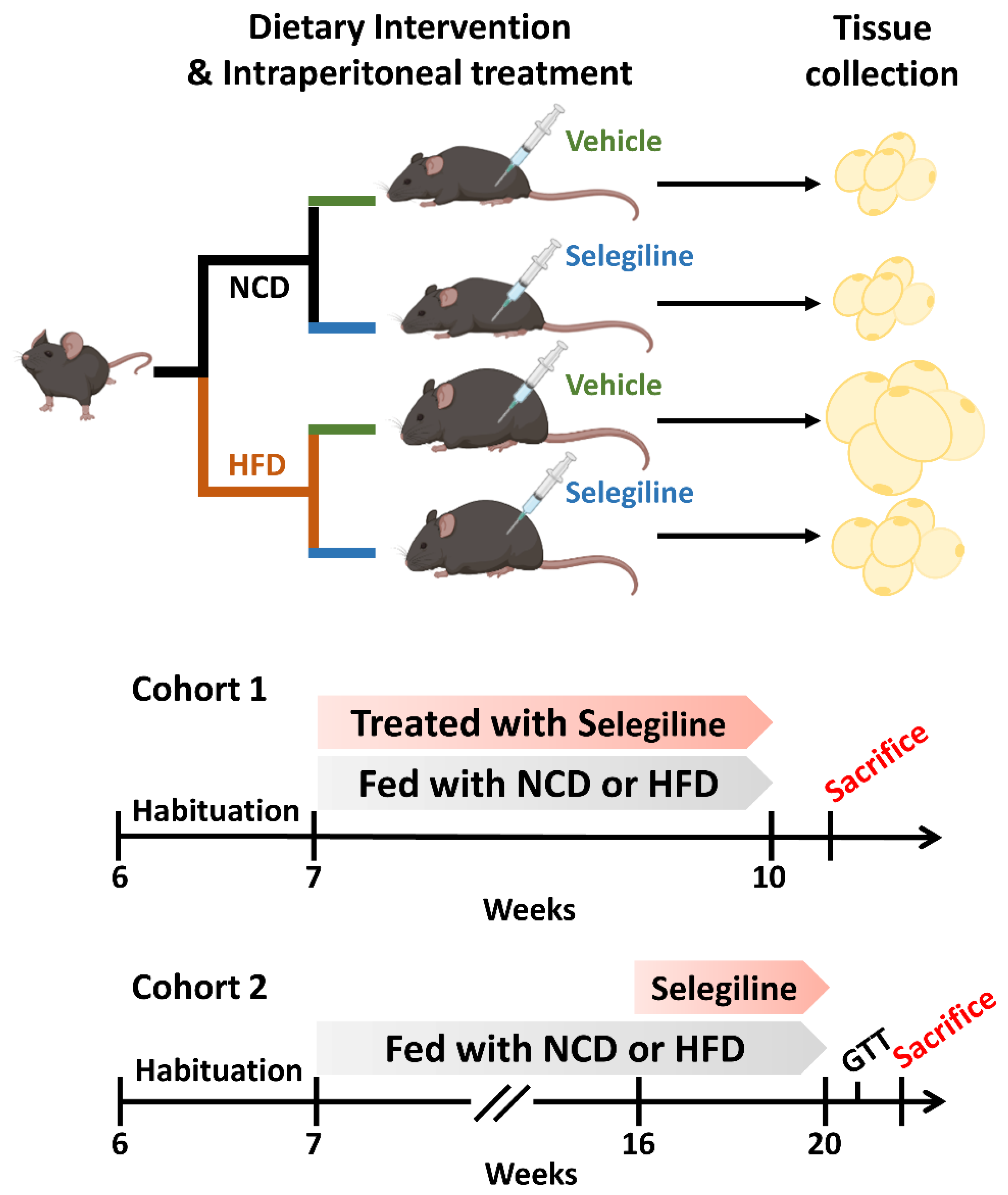 Pharmaceutics 15 02539 g001