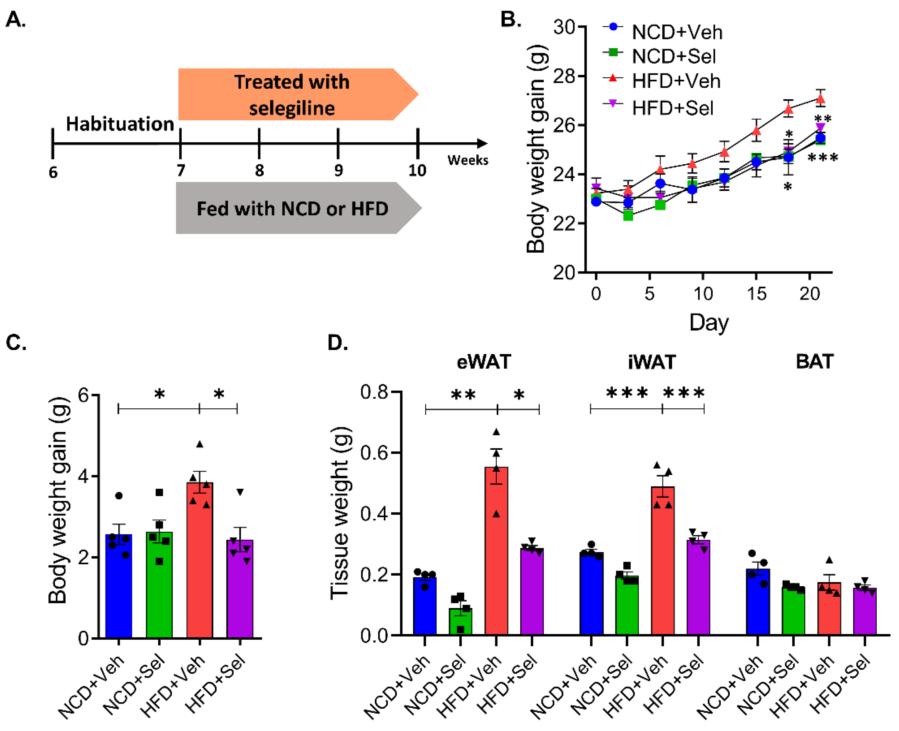 Pharmaceutics 15 02539 g002a