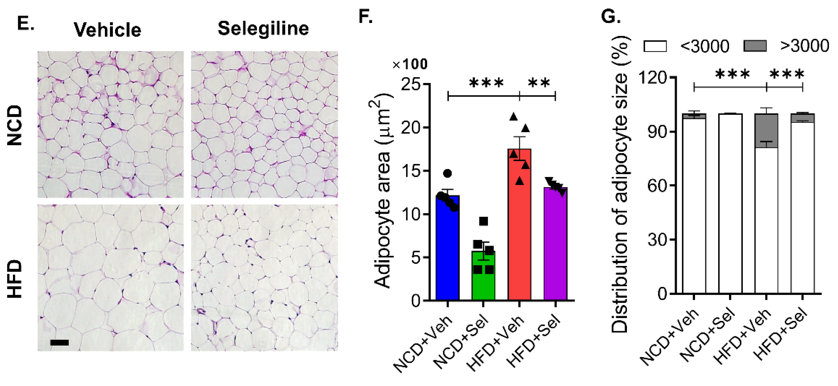 Pharmaceutics 15 02539 g002b
