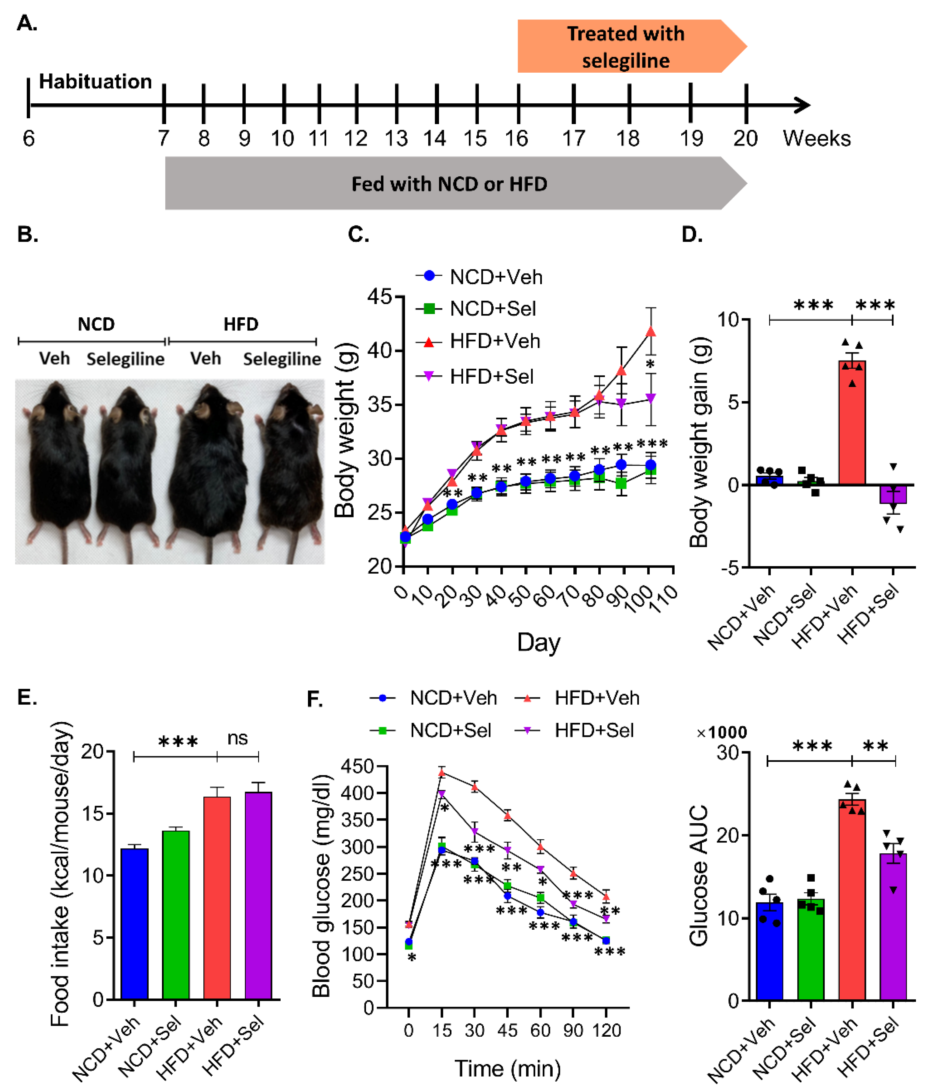 Pharmaceutics 15 02539 g003