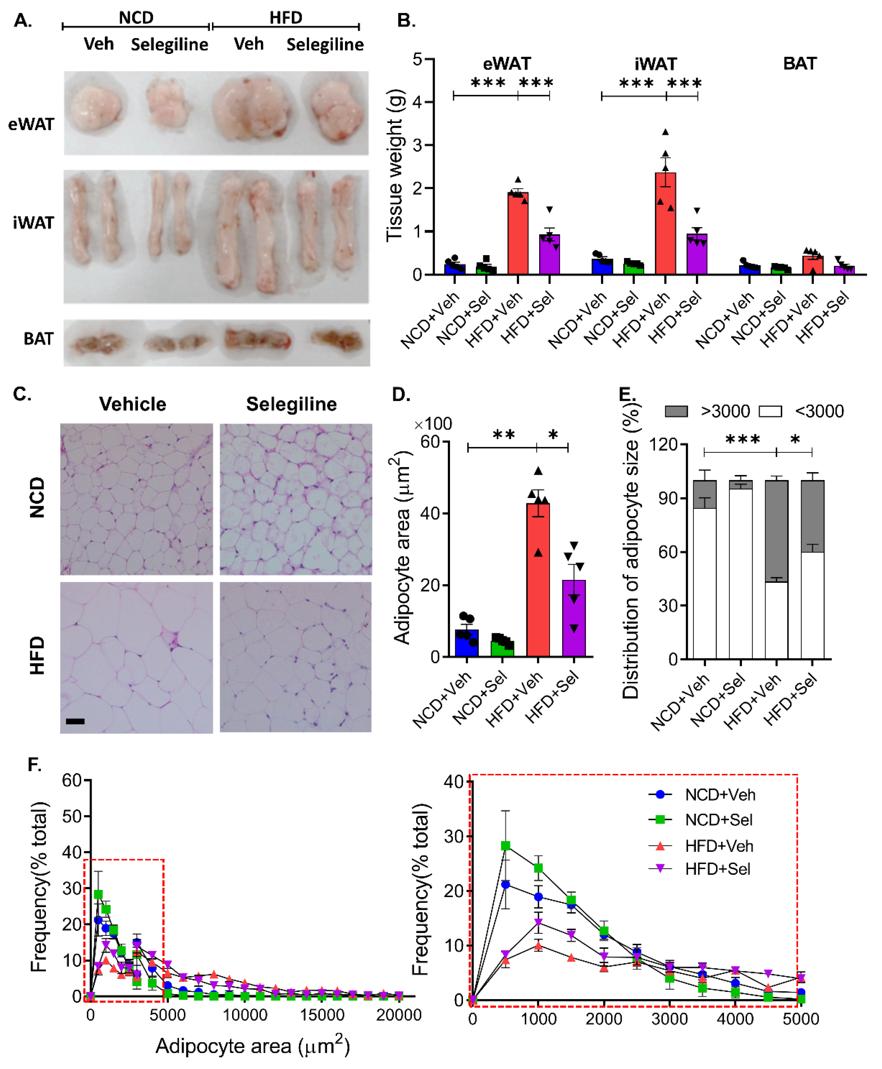 Pharmaceutics 15 02539 g004