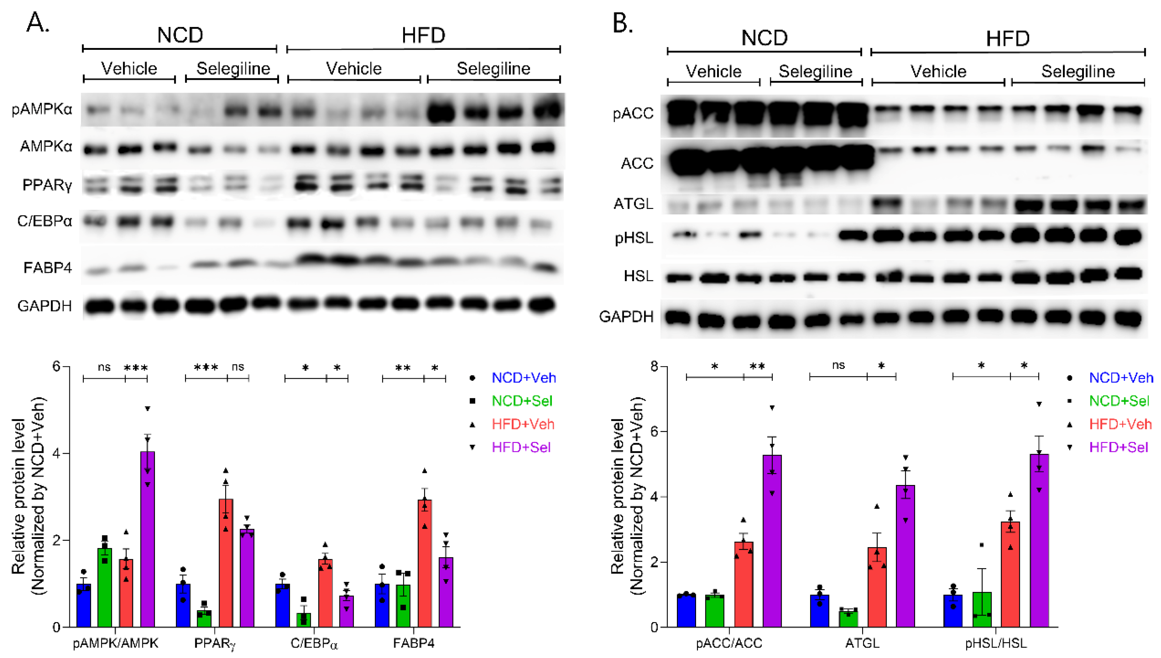 Pharmaceutics 15 02539 g005