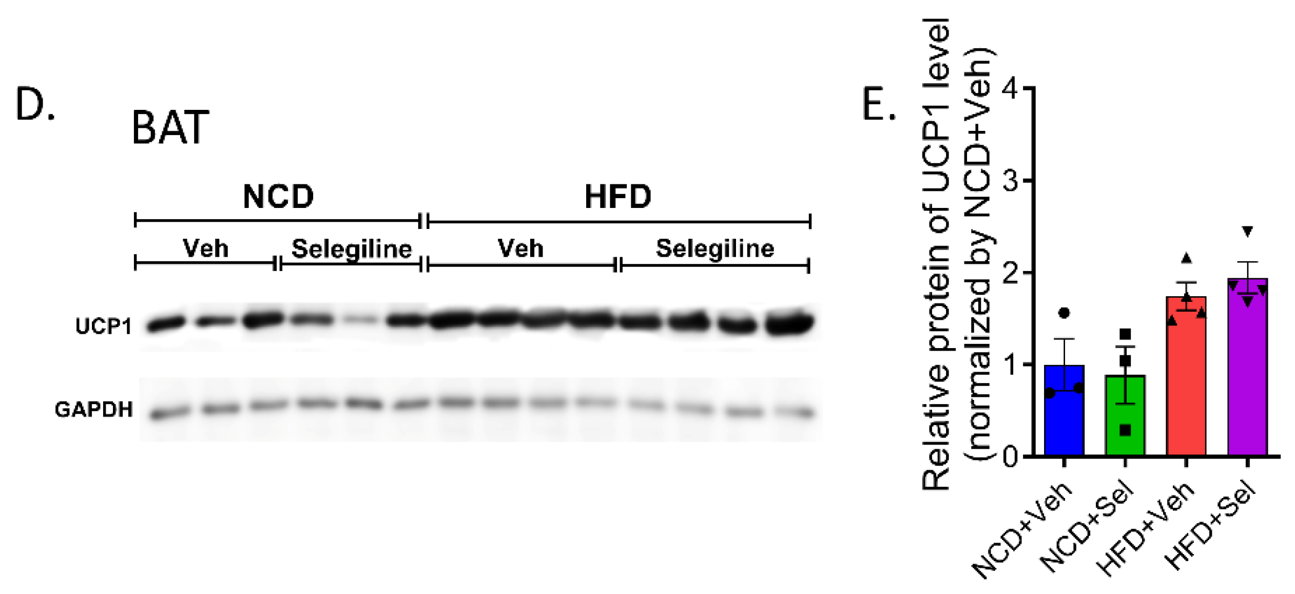 Pharmaceutics 15 02539 g006b